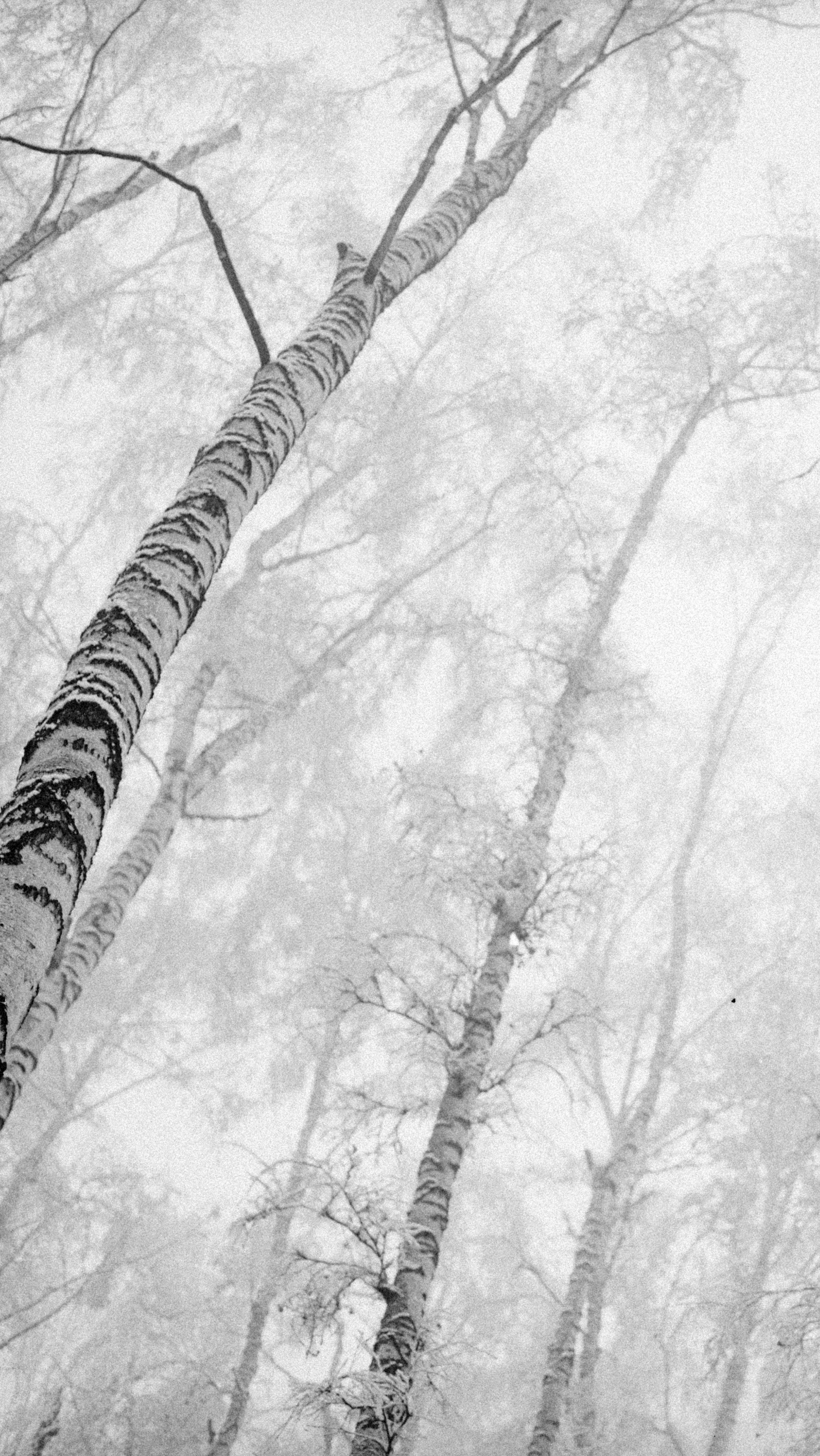 Photo by alexeydemidov