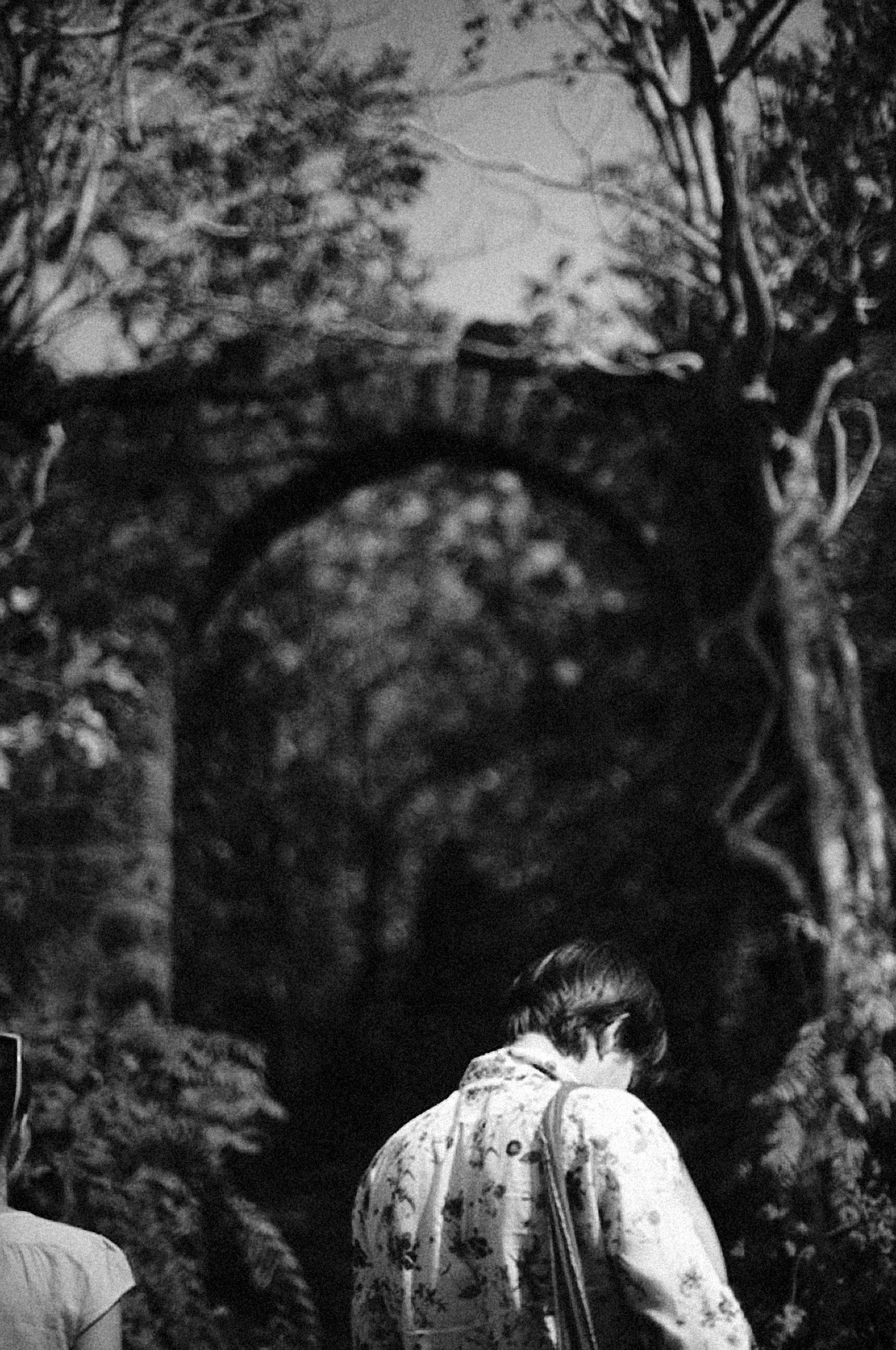 Photo by alexeydemidov