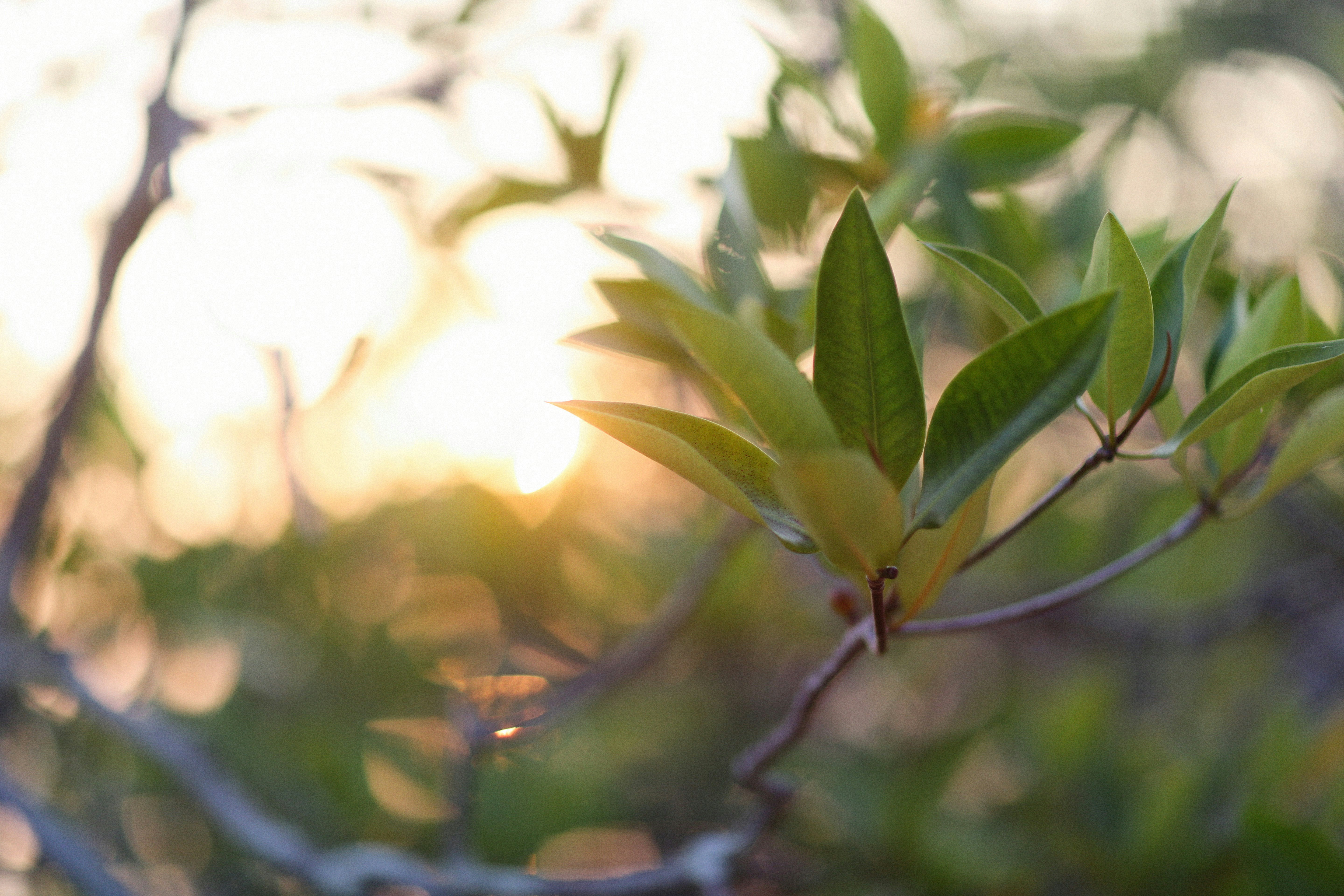 Photo by alexeydemidov