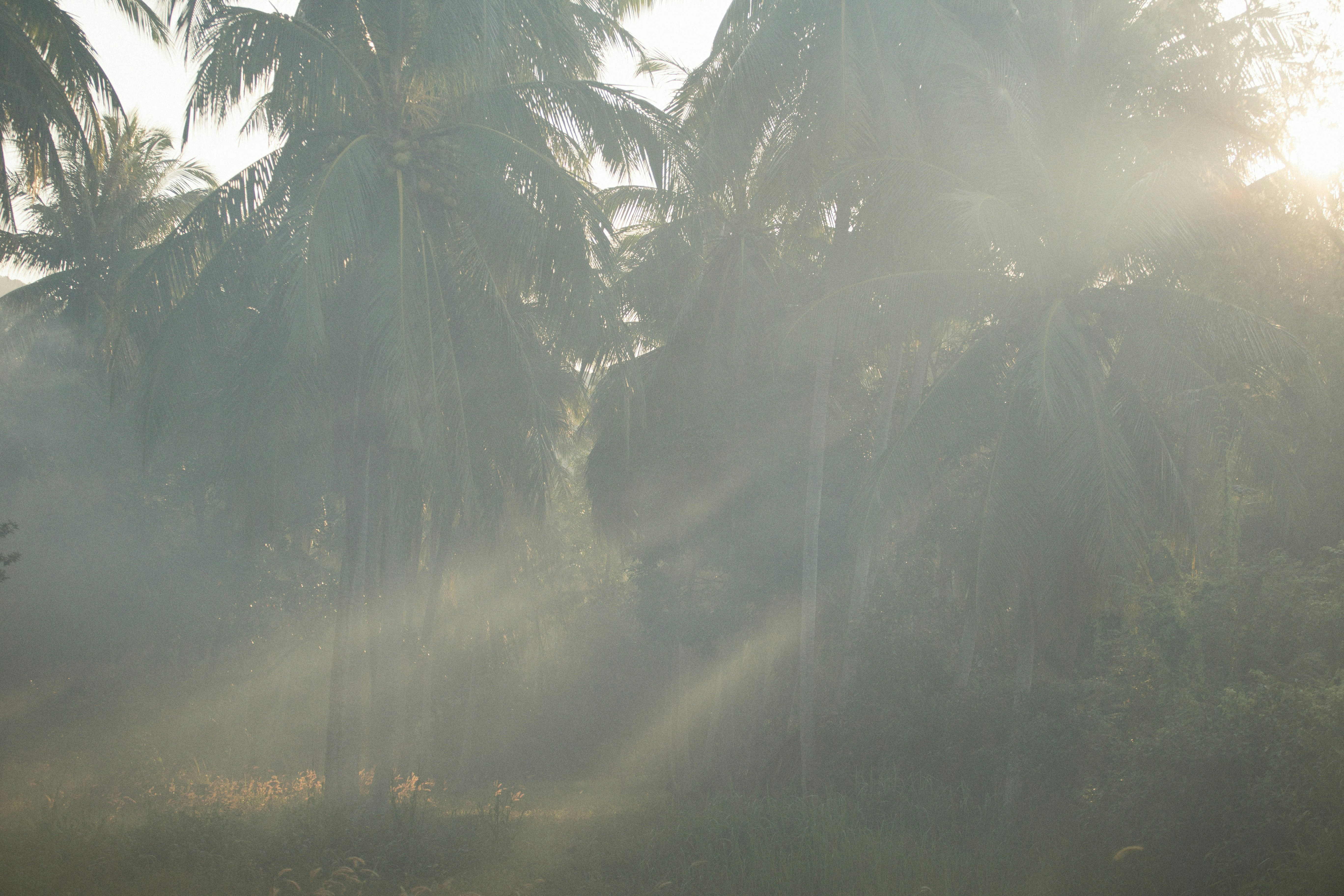 Photo by alexeydemidov