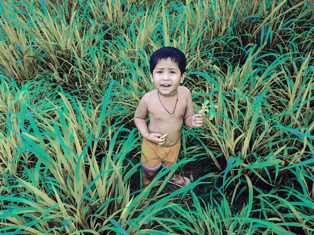 a boy in a field of grass