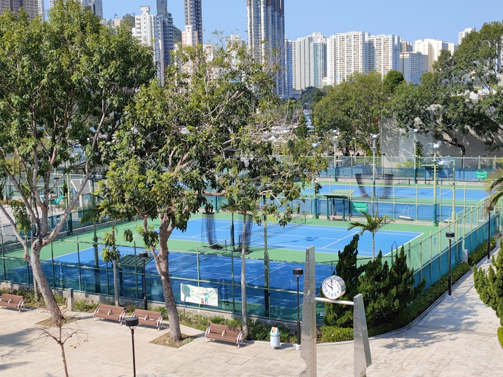 a pool with trees and a city in the background