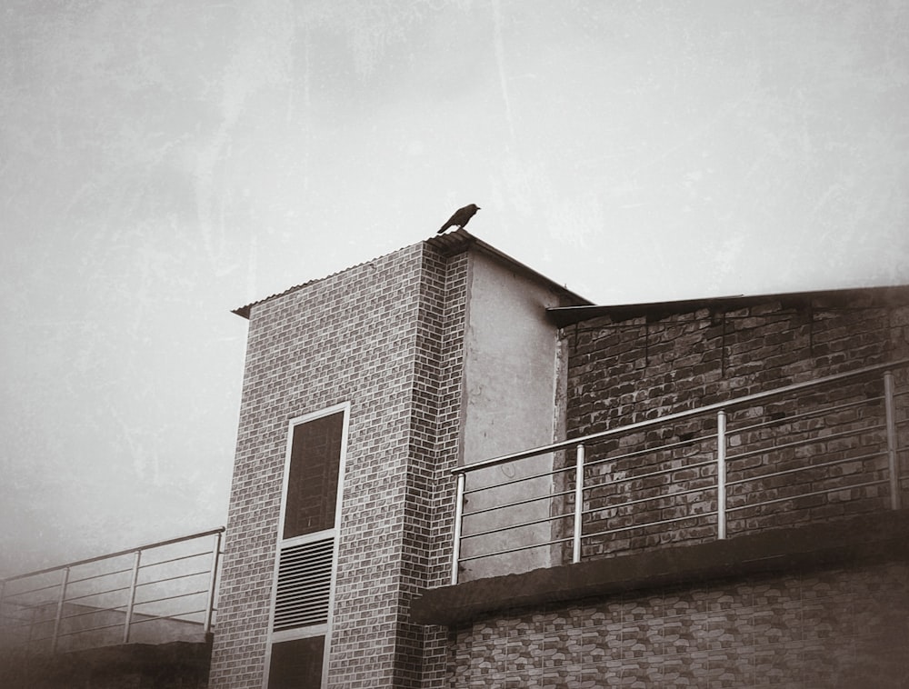 a bird on a roof