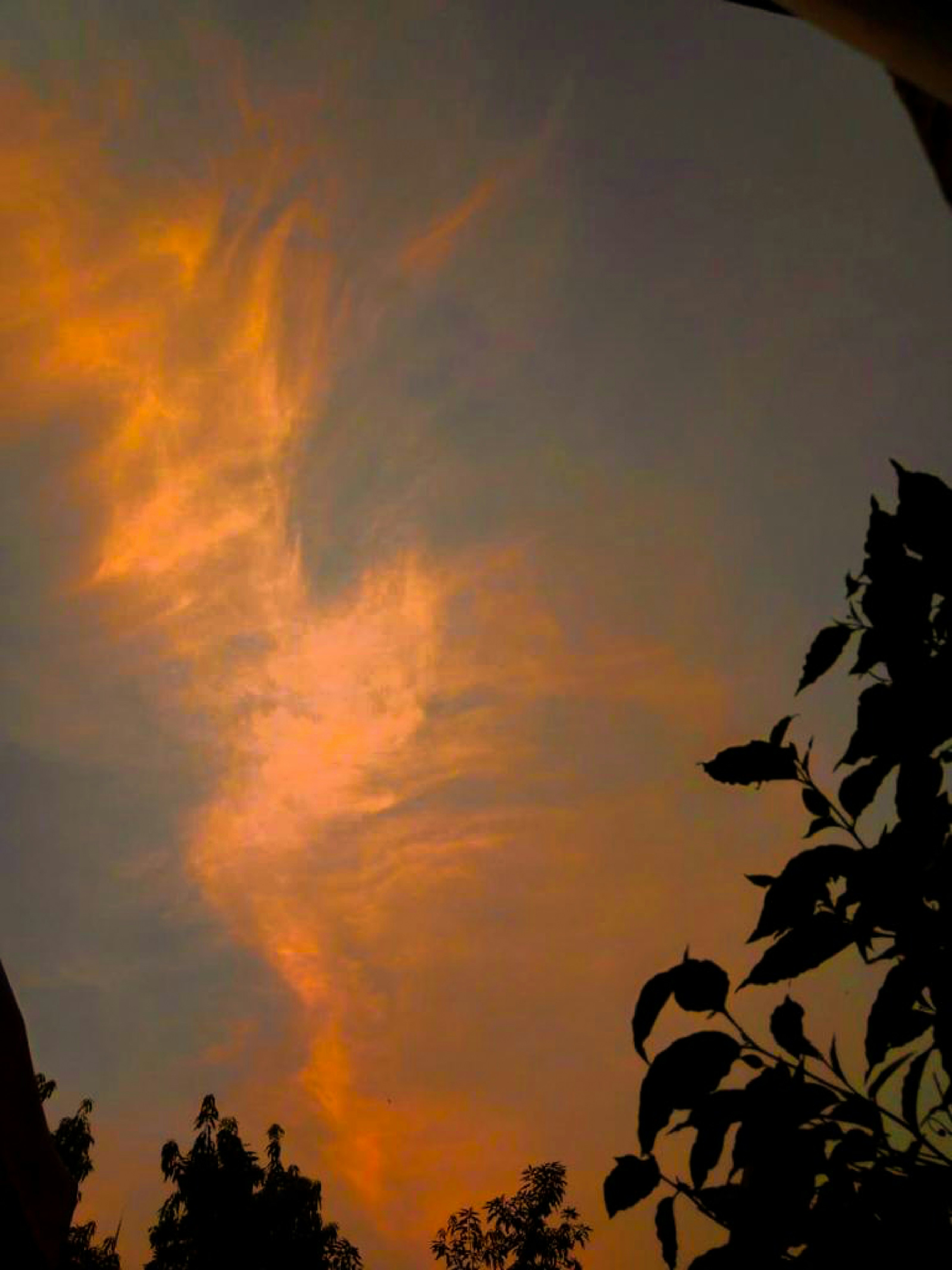 Photo by humandesignco