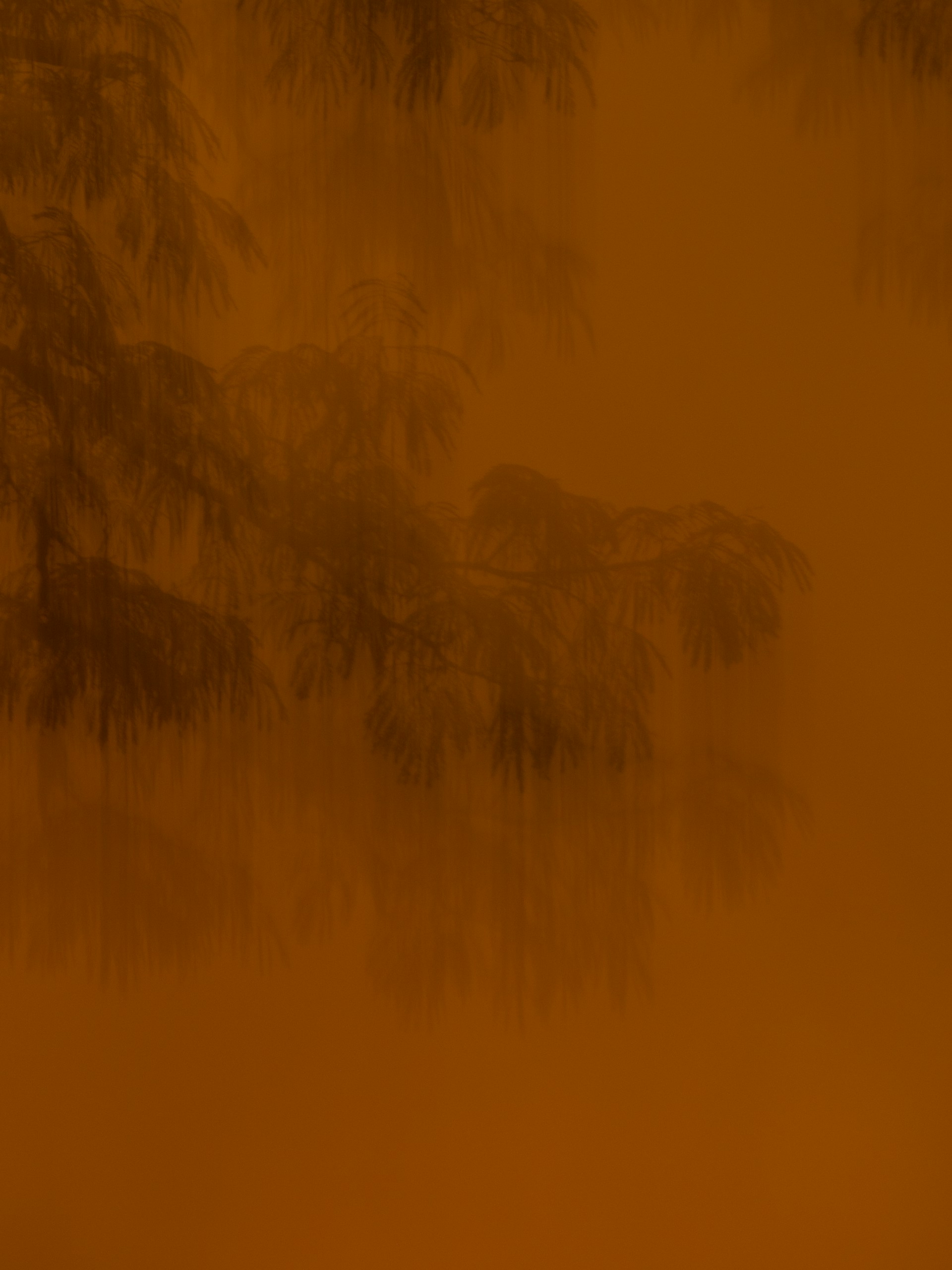 a close up of a person's face