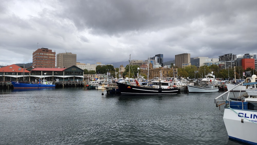 boats in a harbor