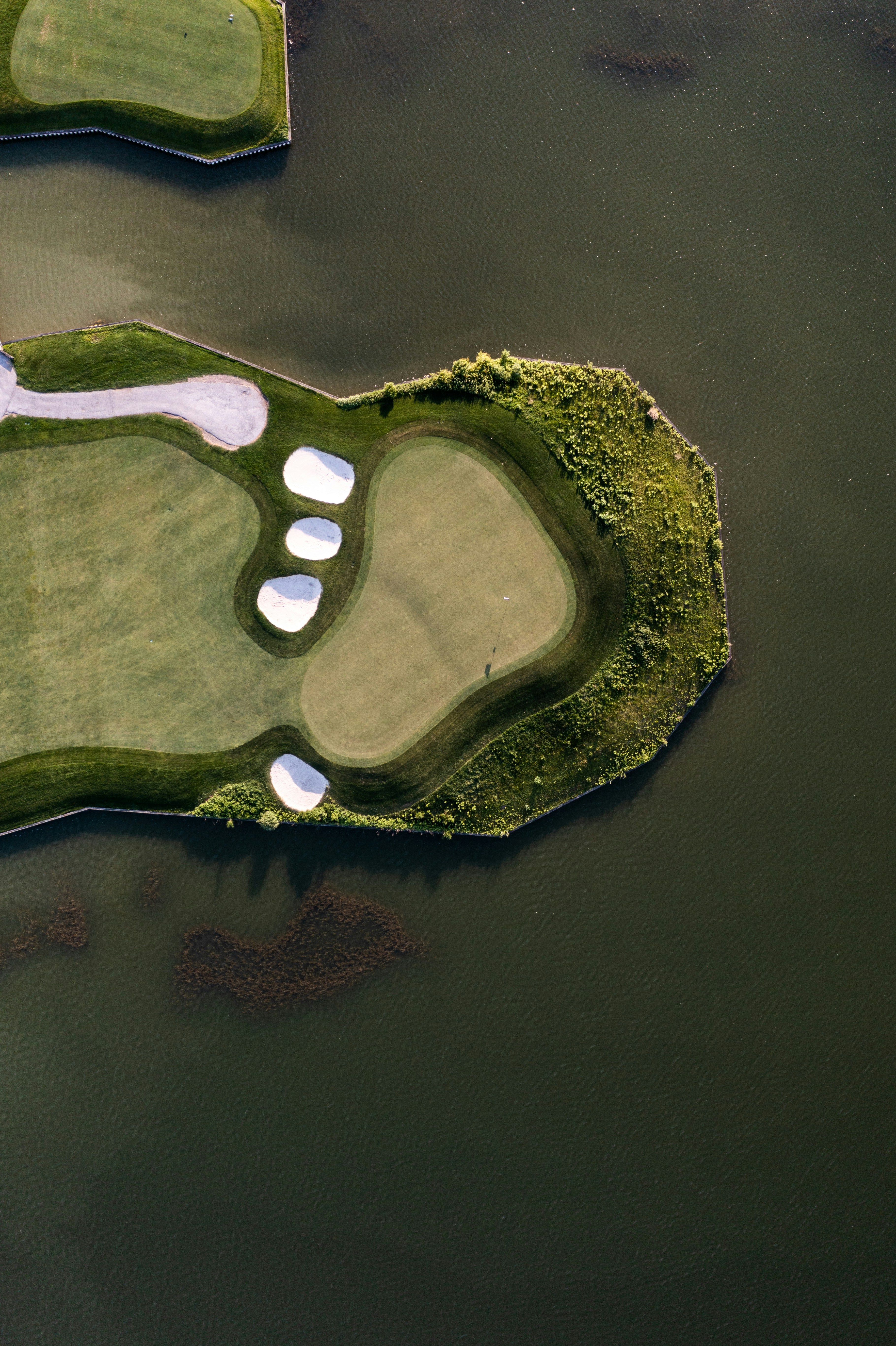 The Signature Hole