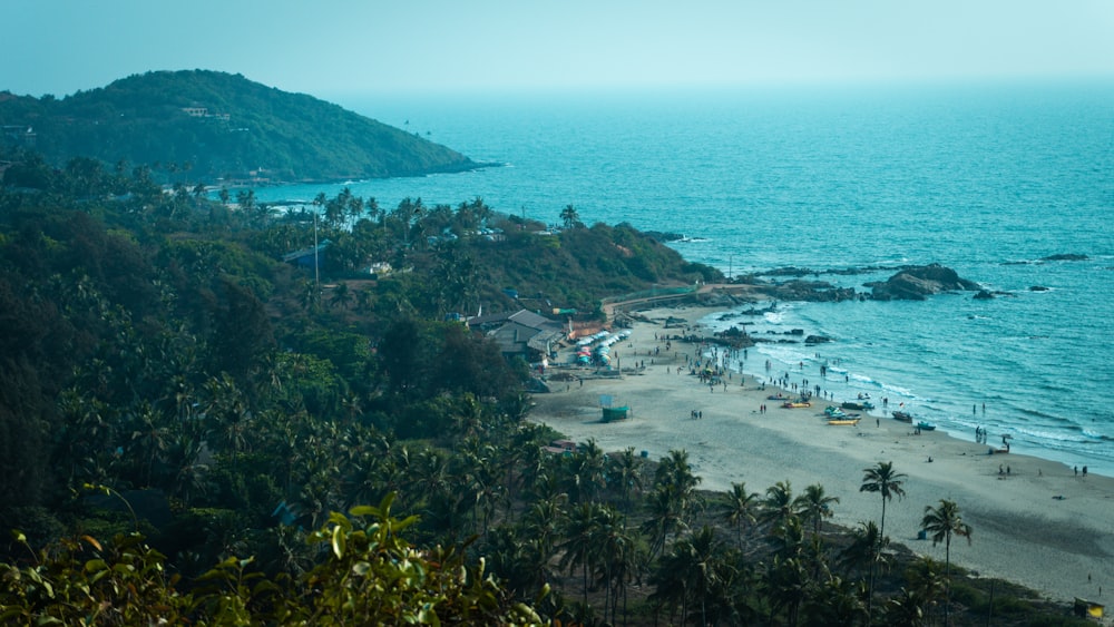 a beach with many people on it