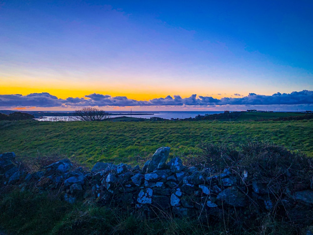 a field of grass and rocks with a body of water in the background