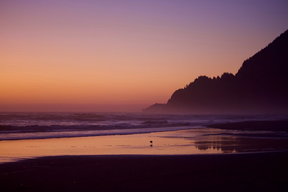 a person standing on a beach