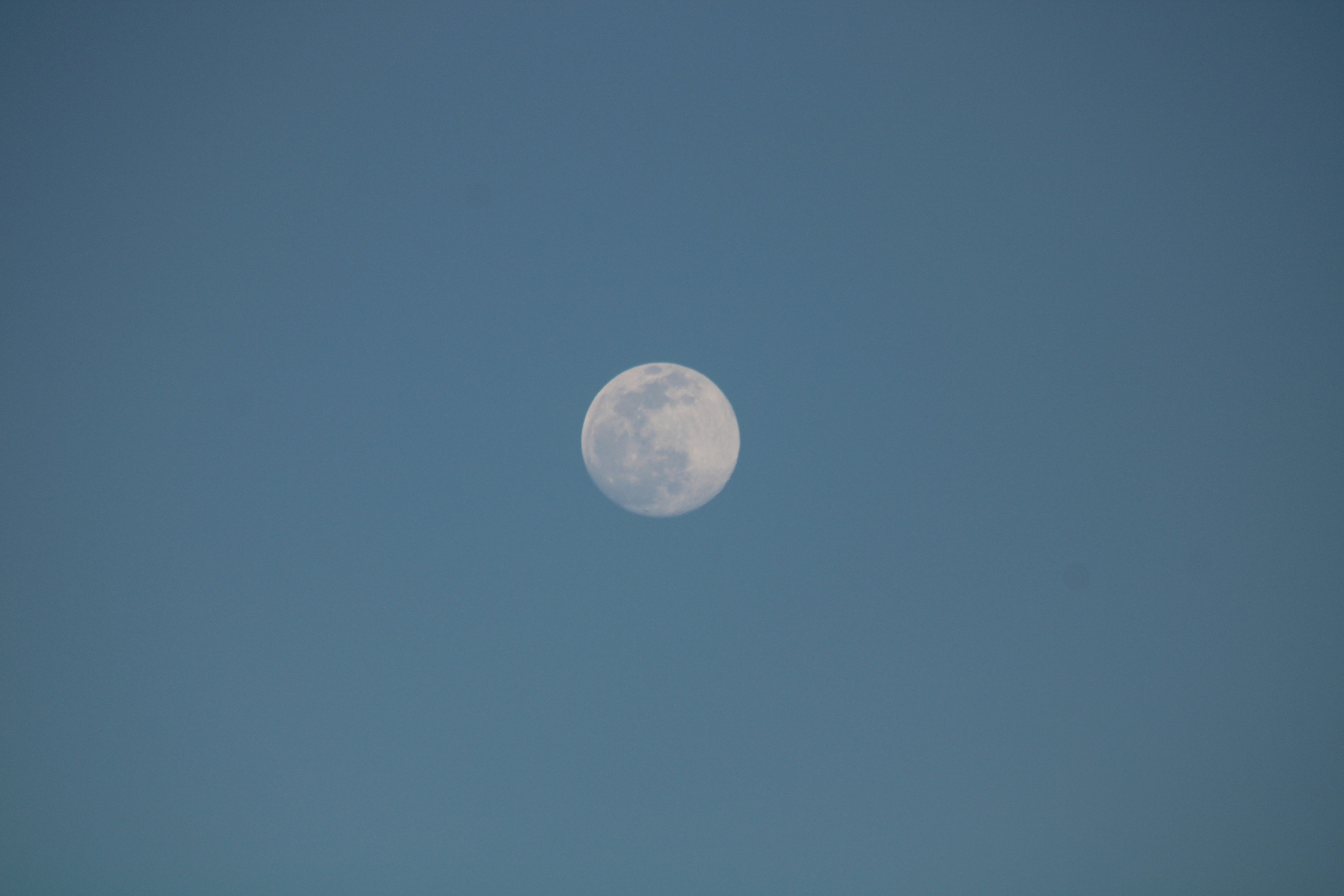 Photo by nickmatthews