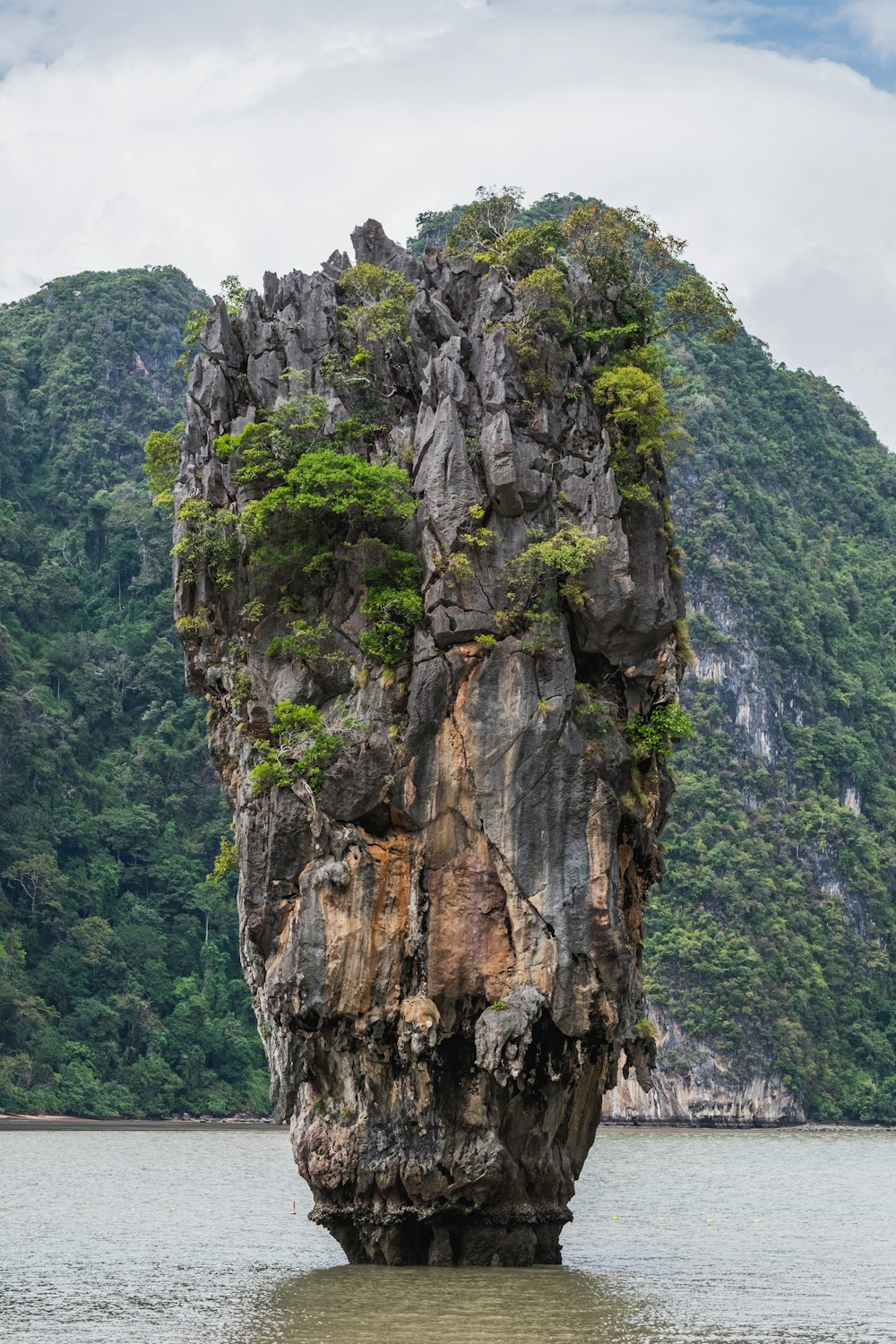 a cliff with moss growing on it