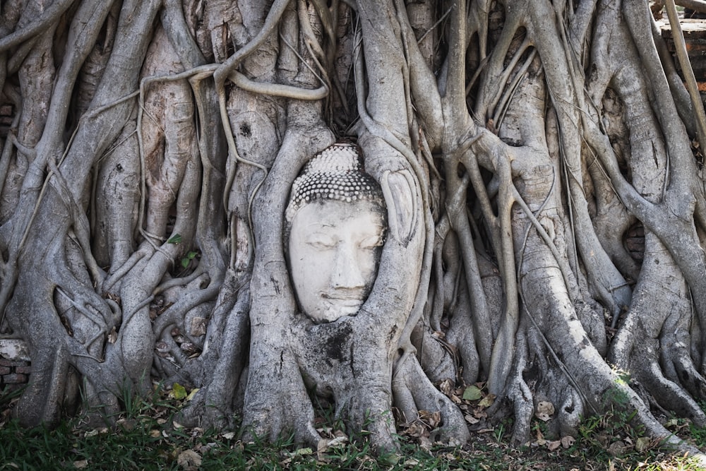 une statue d’une personne avec une barbe entourée d’arbres