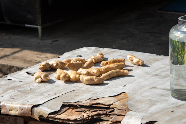 Golden dehydrated ginger powder in a small ceramic bowl surrounded by fresh ginger roots on a wooden table.