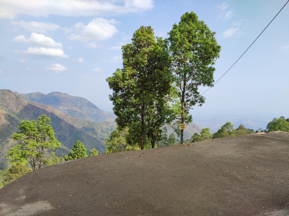 a dirt road with trees on the side