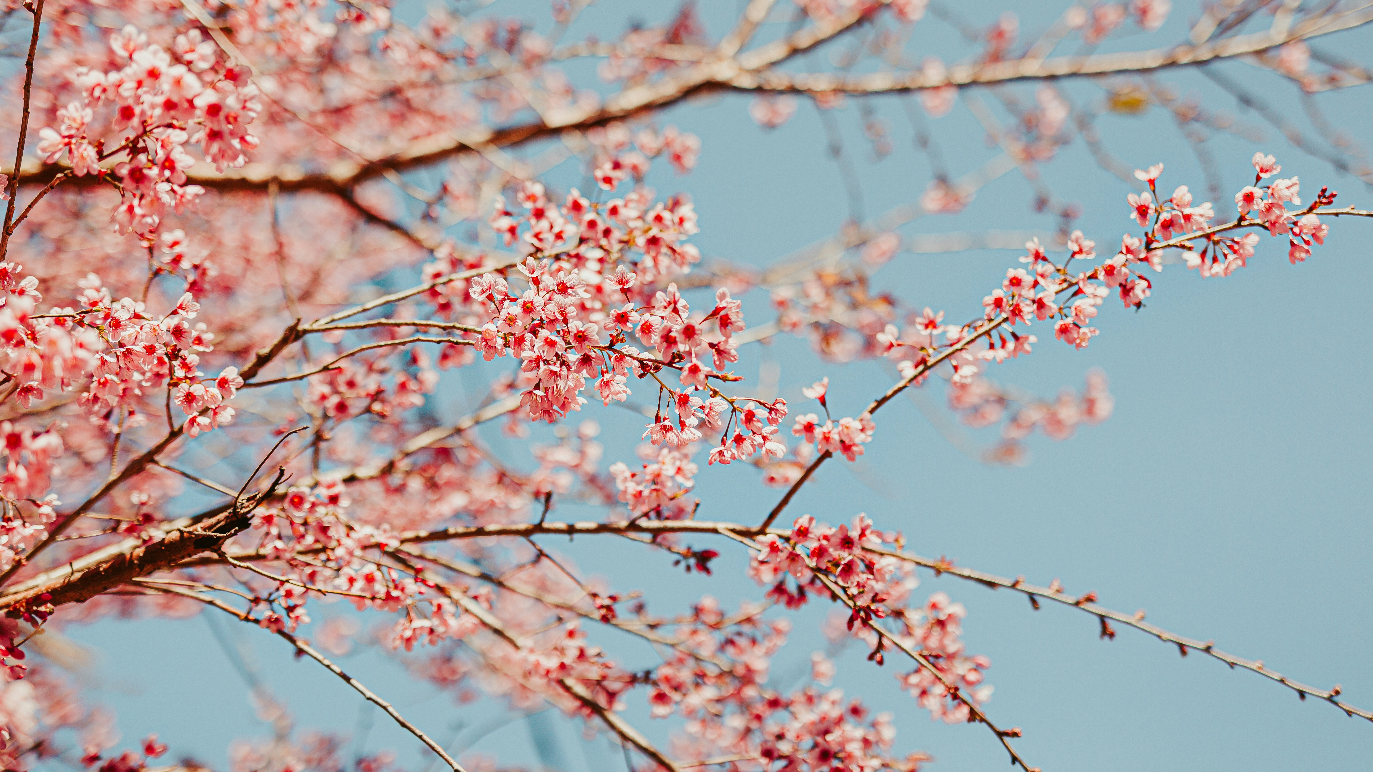 Photo by benny07
