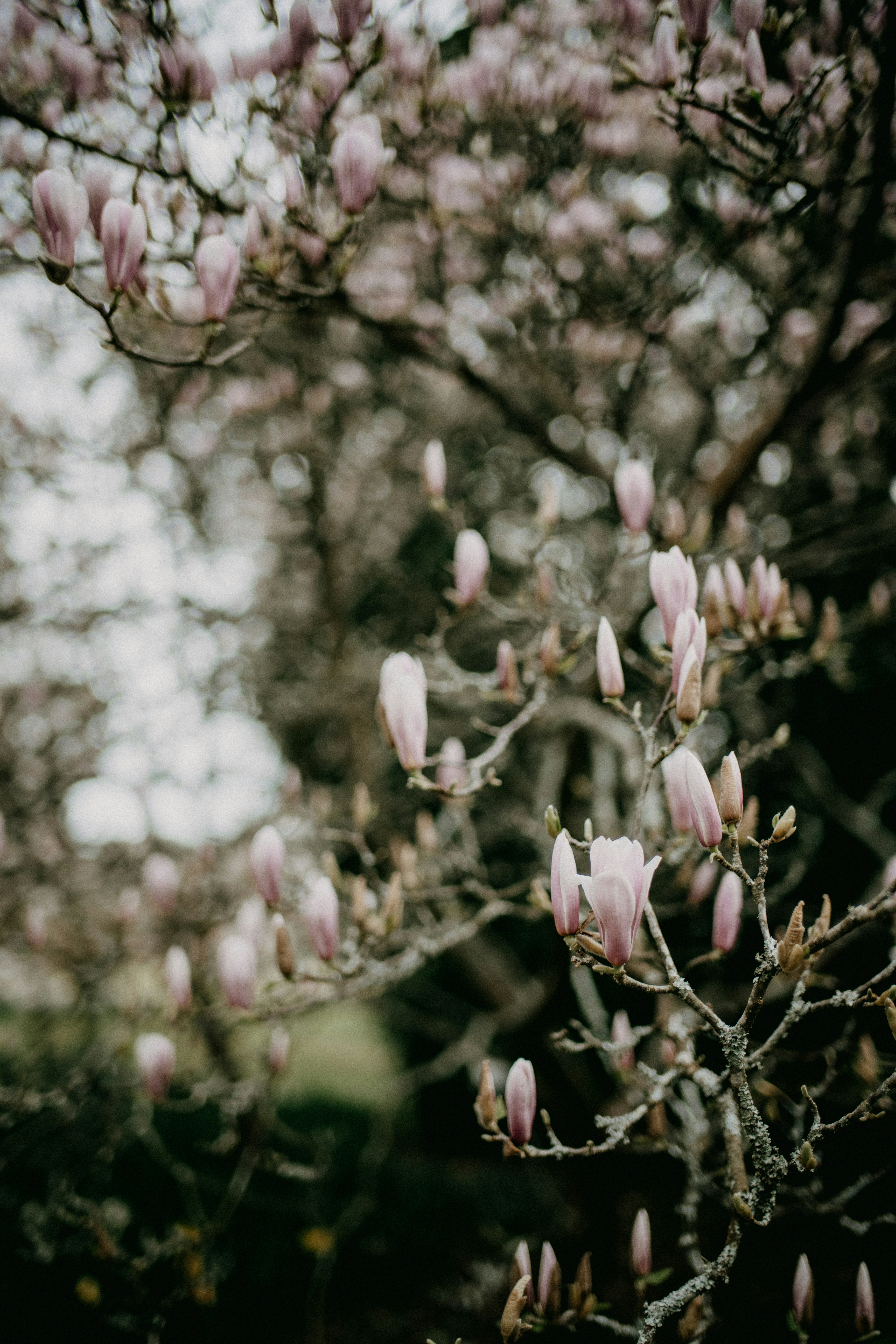 Photo by anniespratt