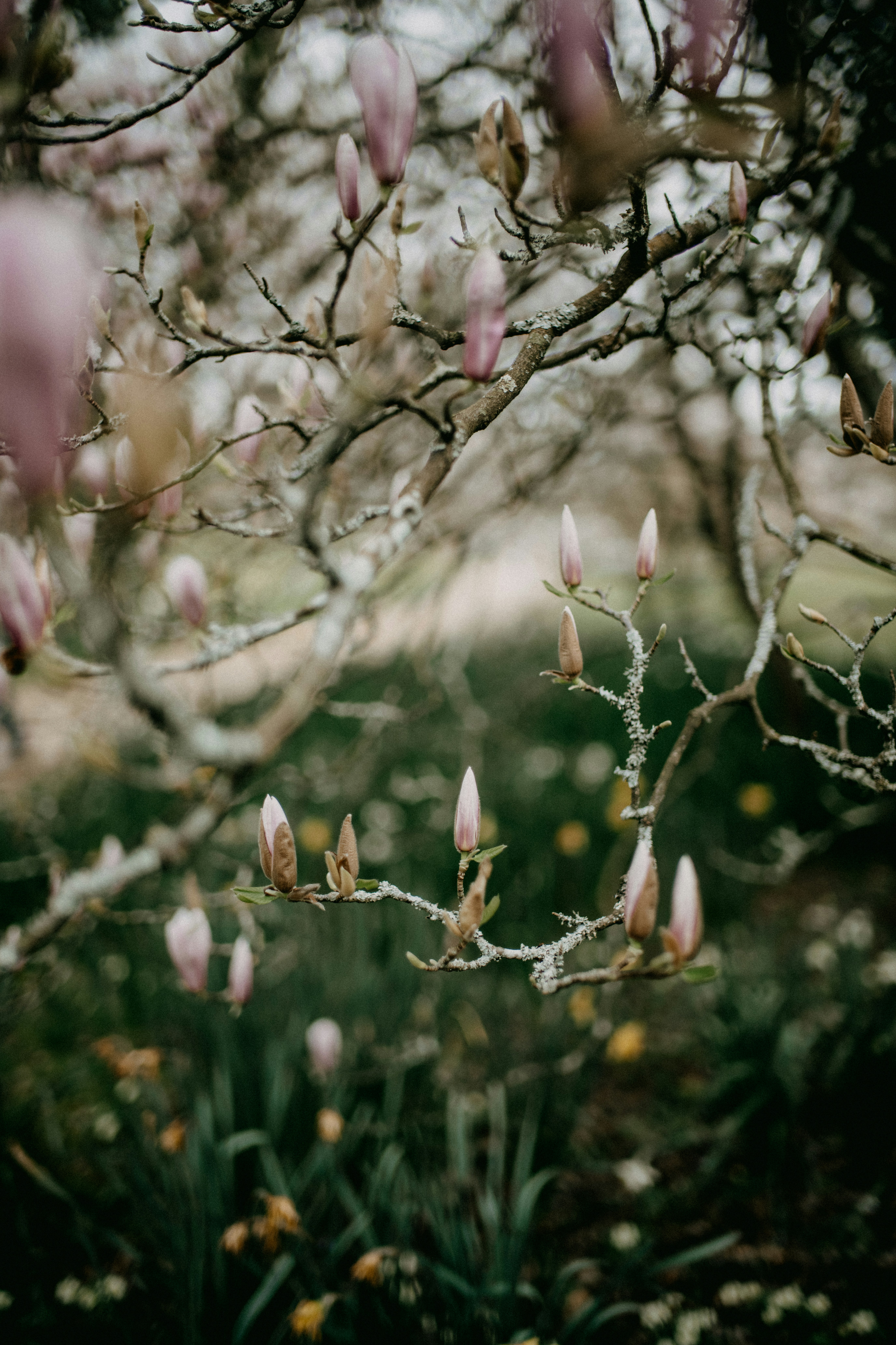 Photo by anniespratt