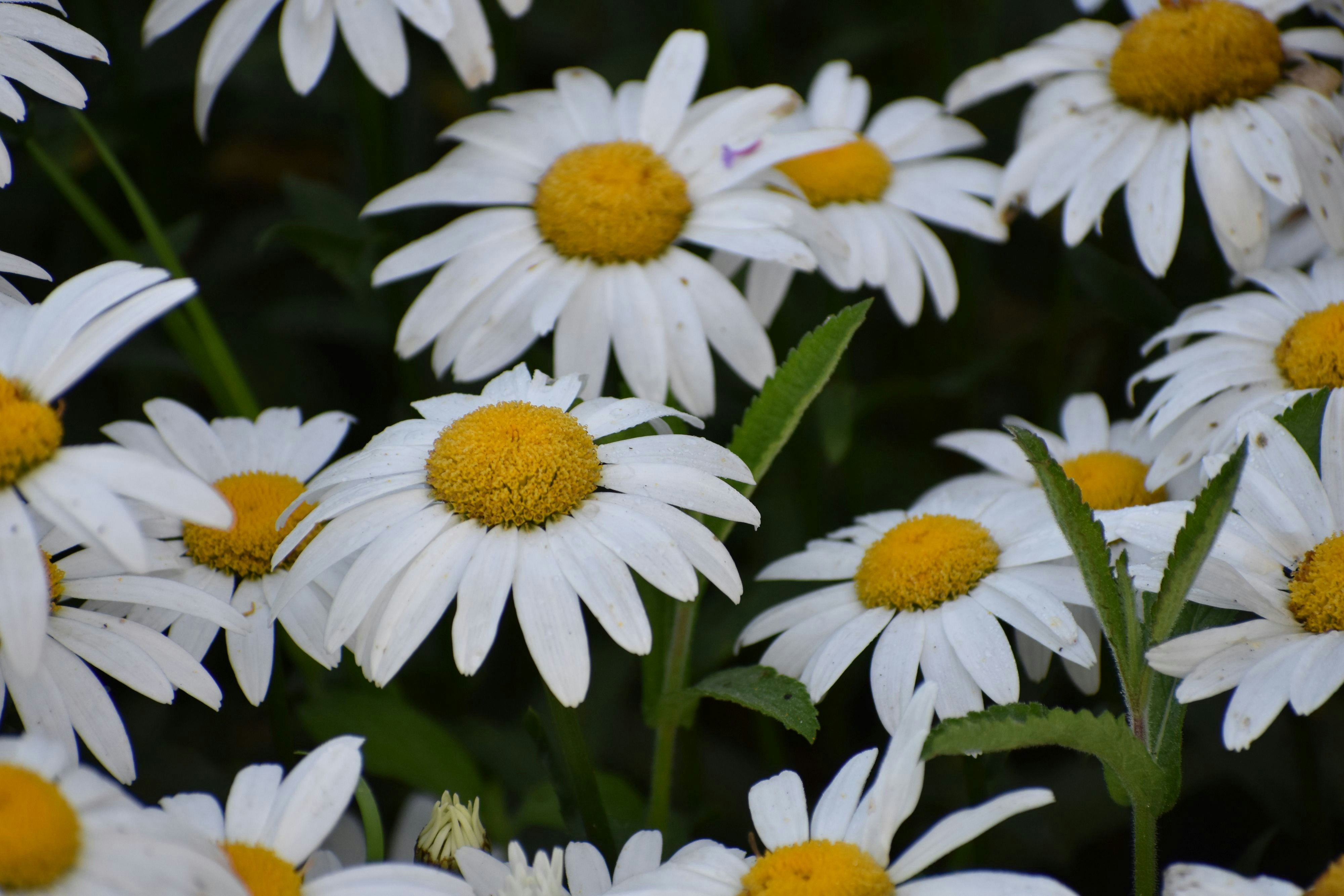 Photo by andrew_hall