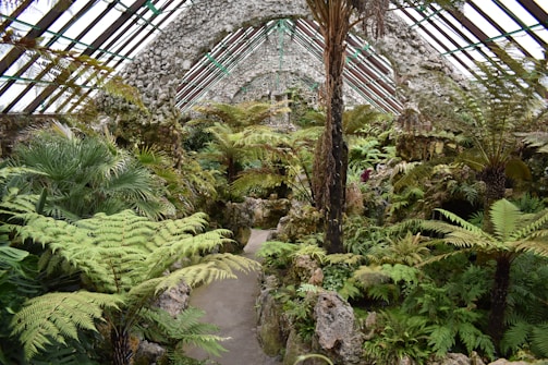 a large indoor garden