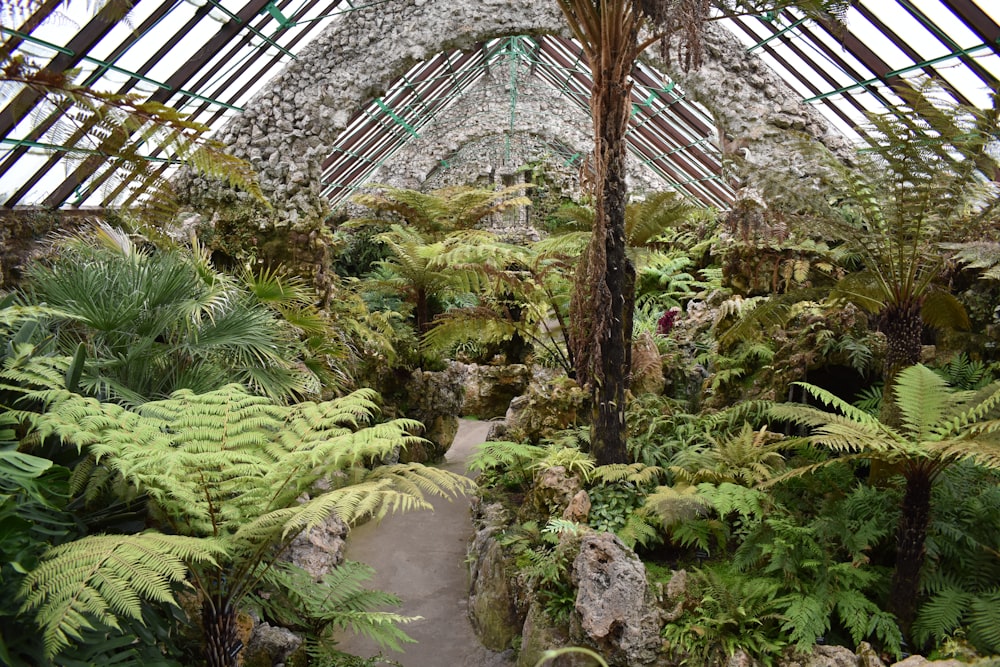 a large indoor garden