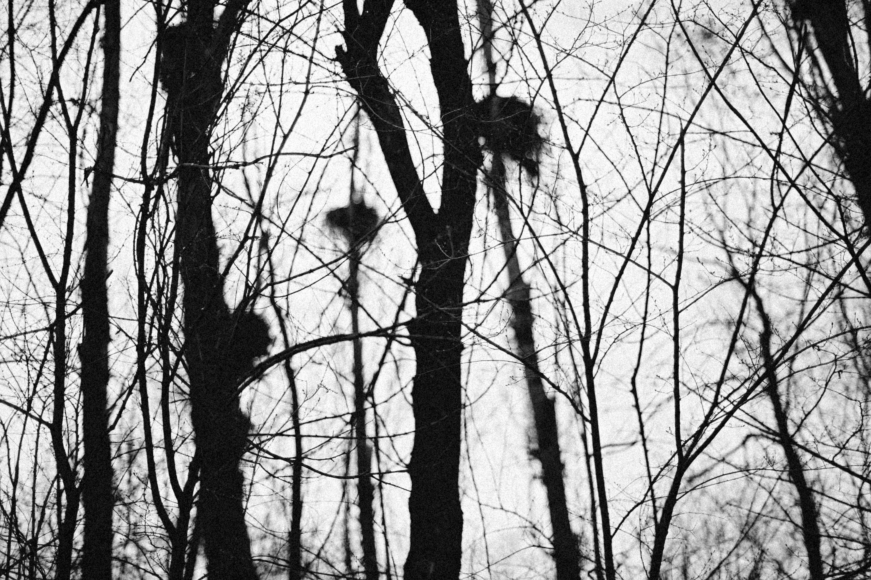 Photo by alexeydemidov