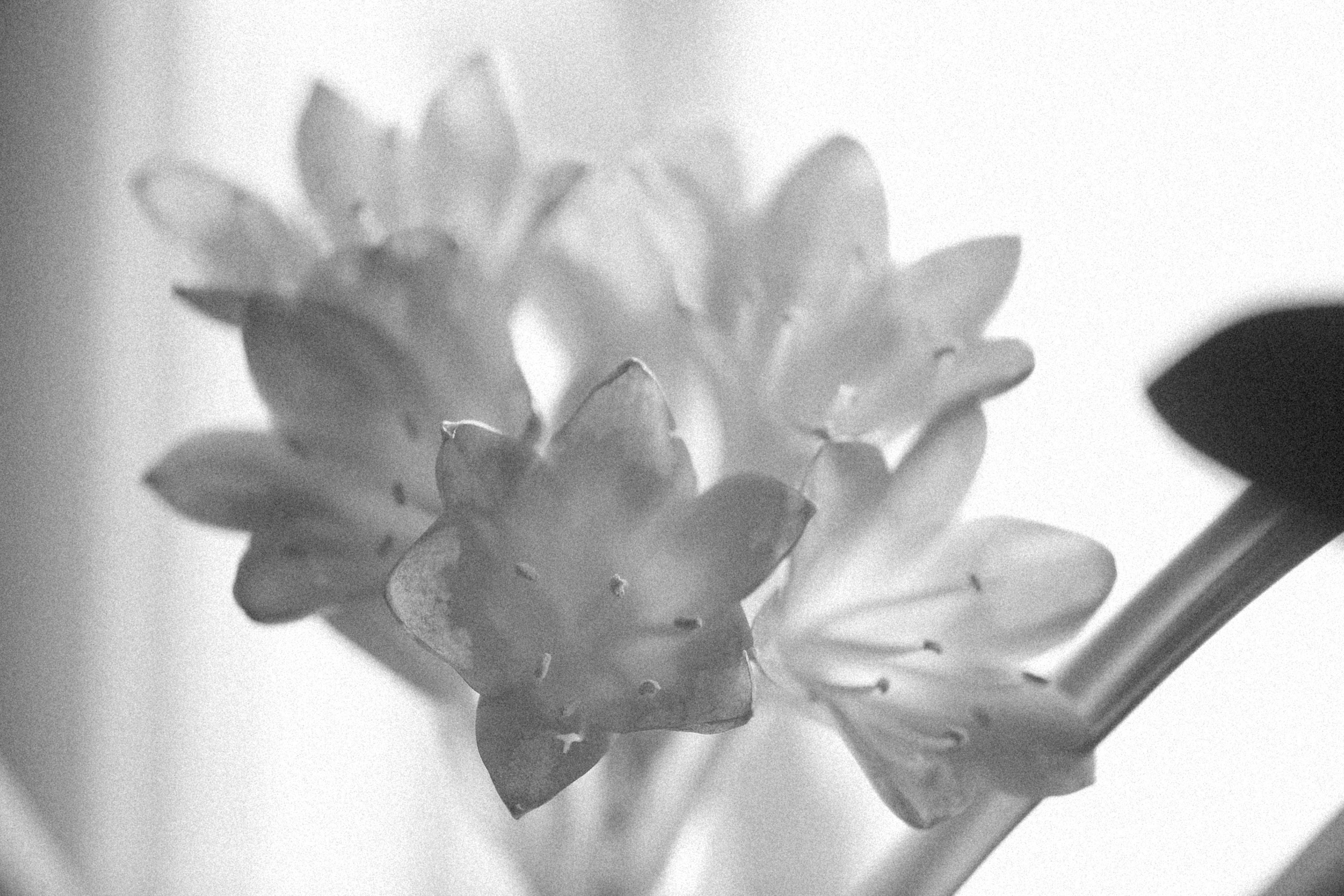 Photo by alexeydemidov