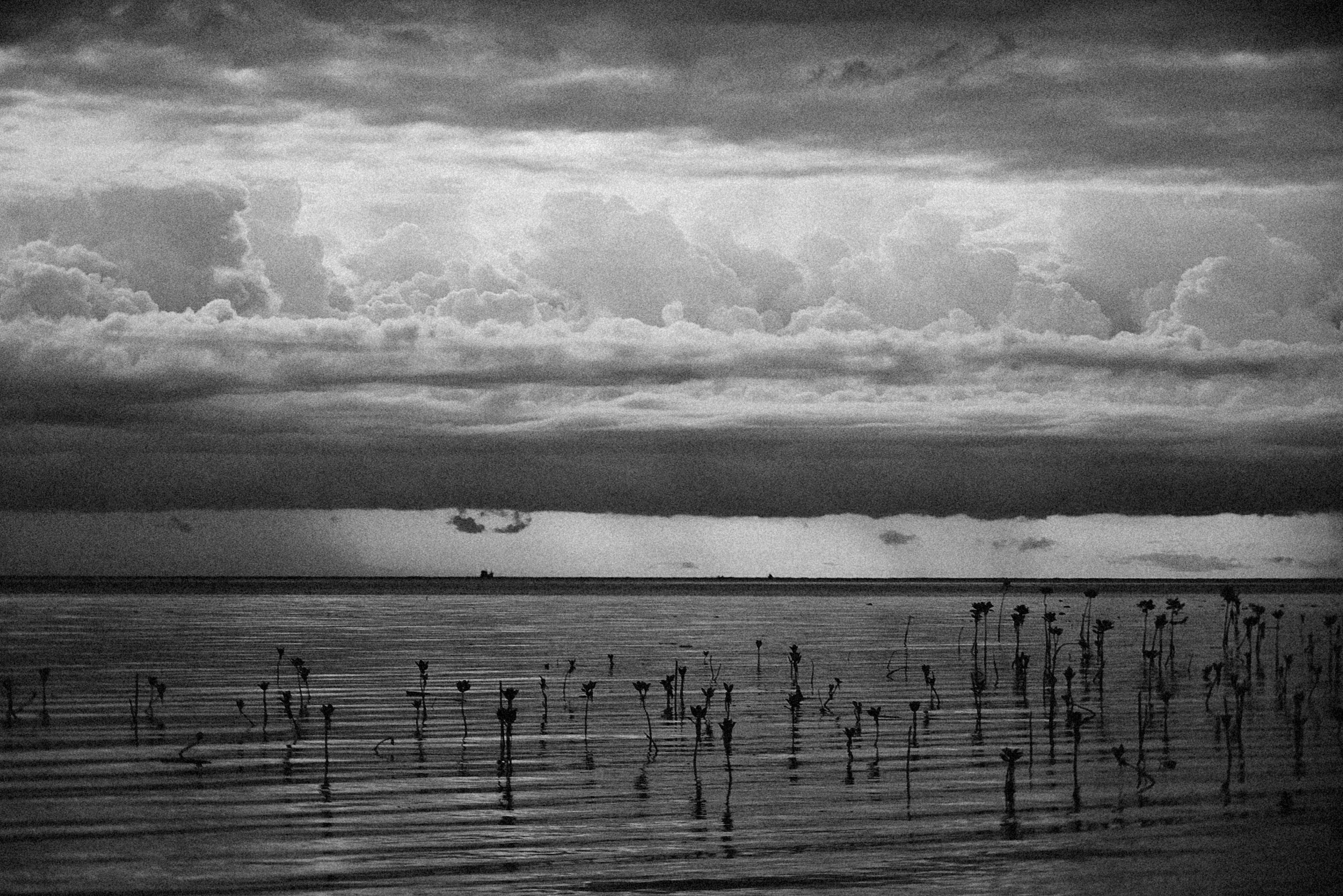 Photo by alexeydemidov