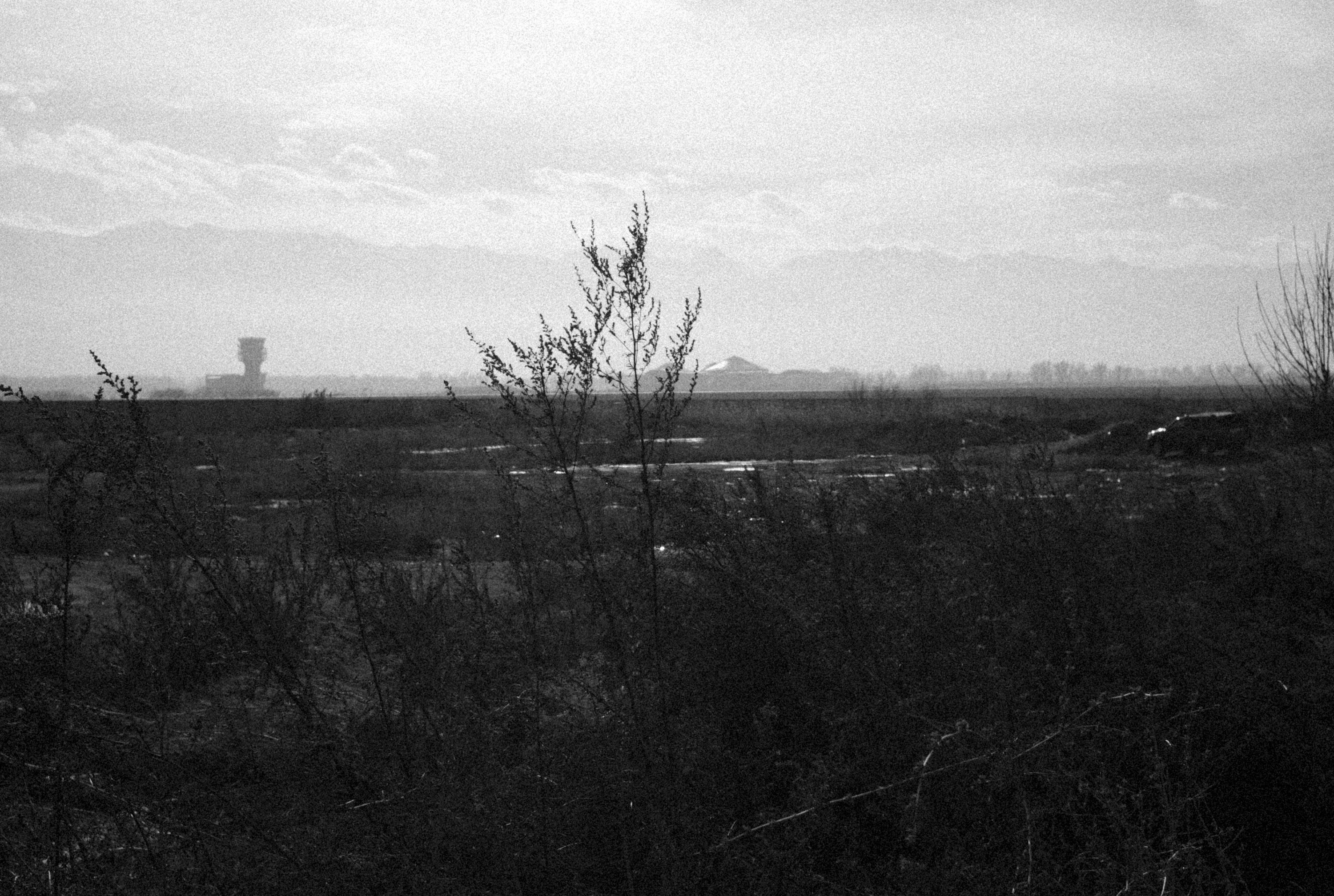 Photo by alexeydemidov