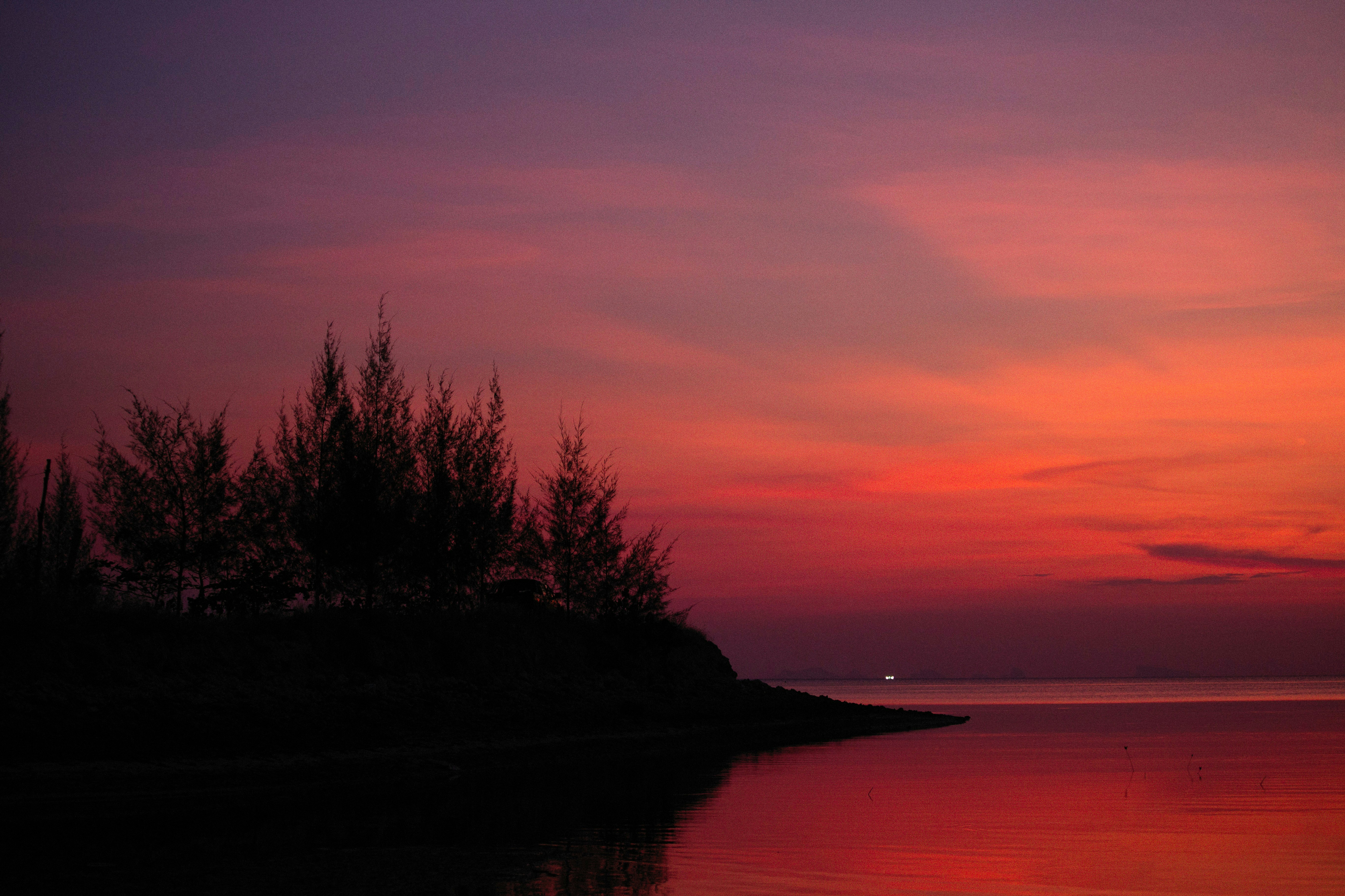 Photo by alexeydemidov