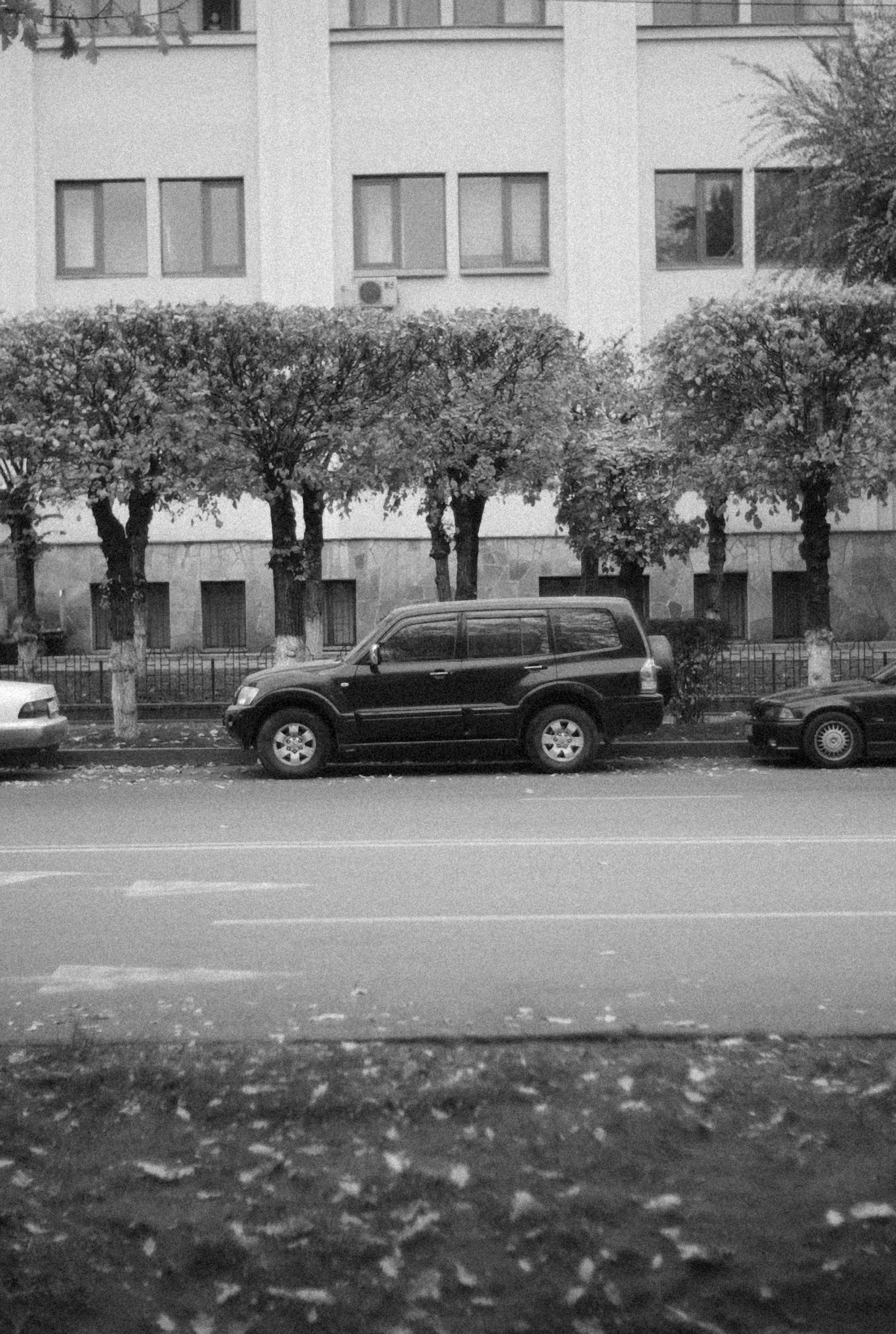 Photo by alexeydemidov