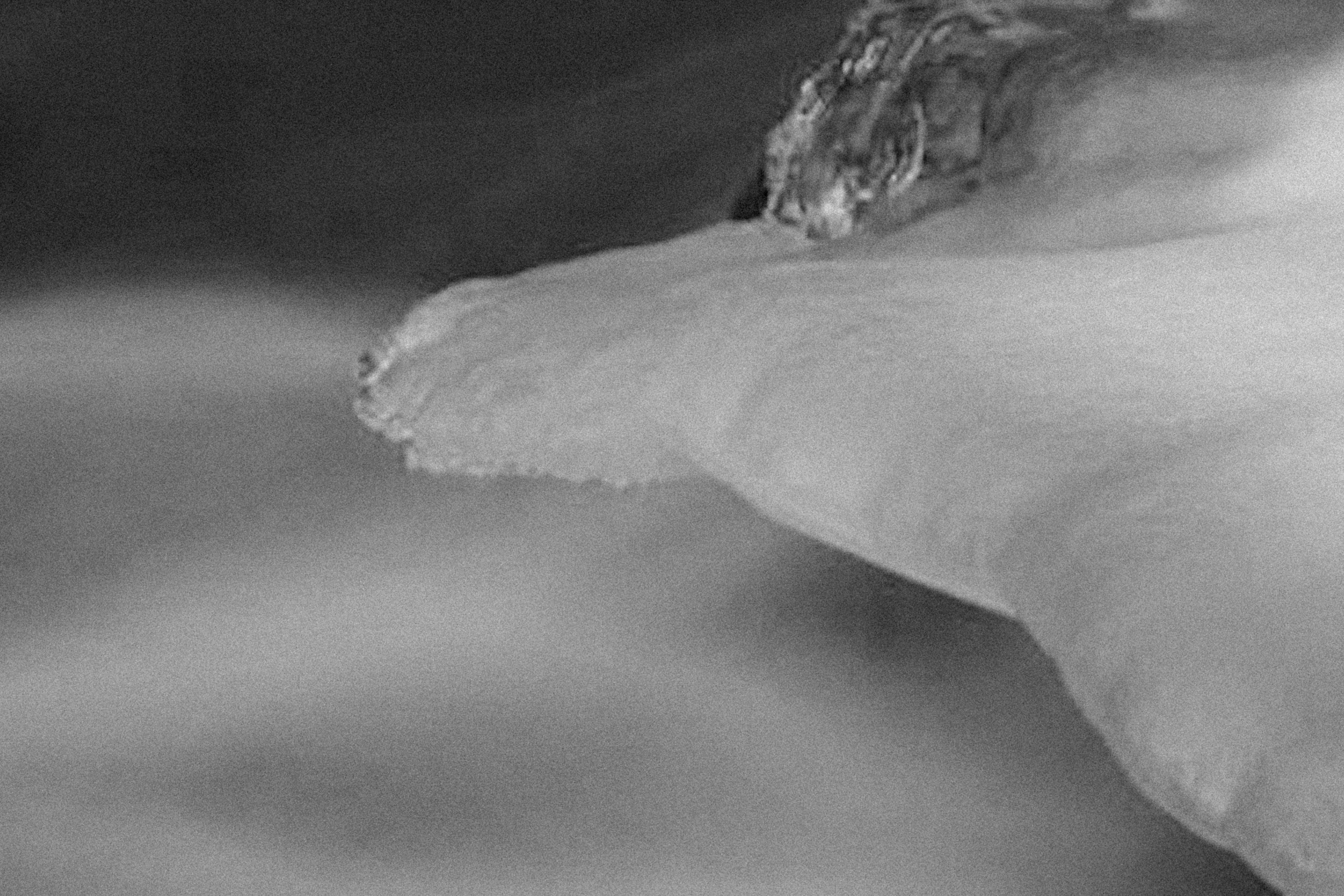 Photo by alexeydemidov