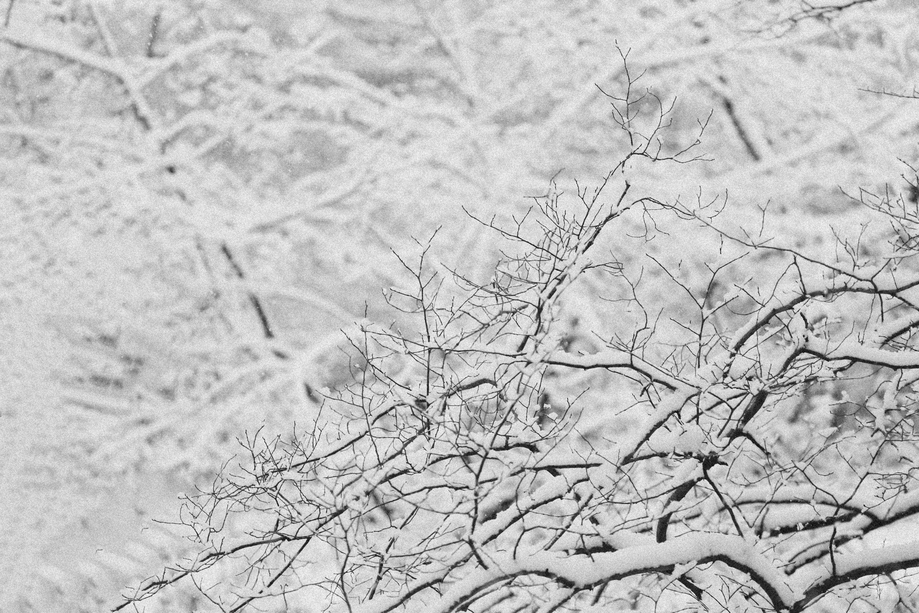 Photo by alexeydemidov