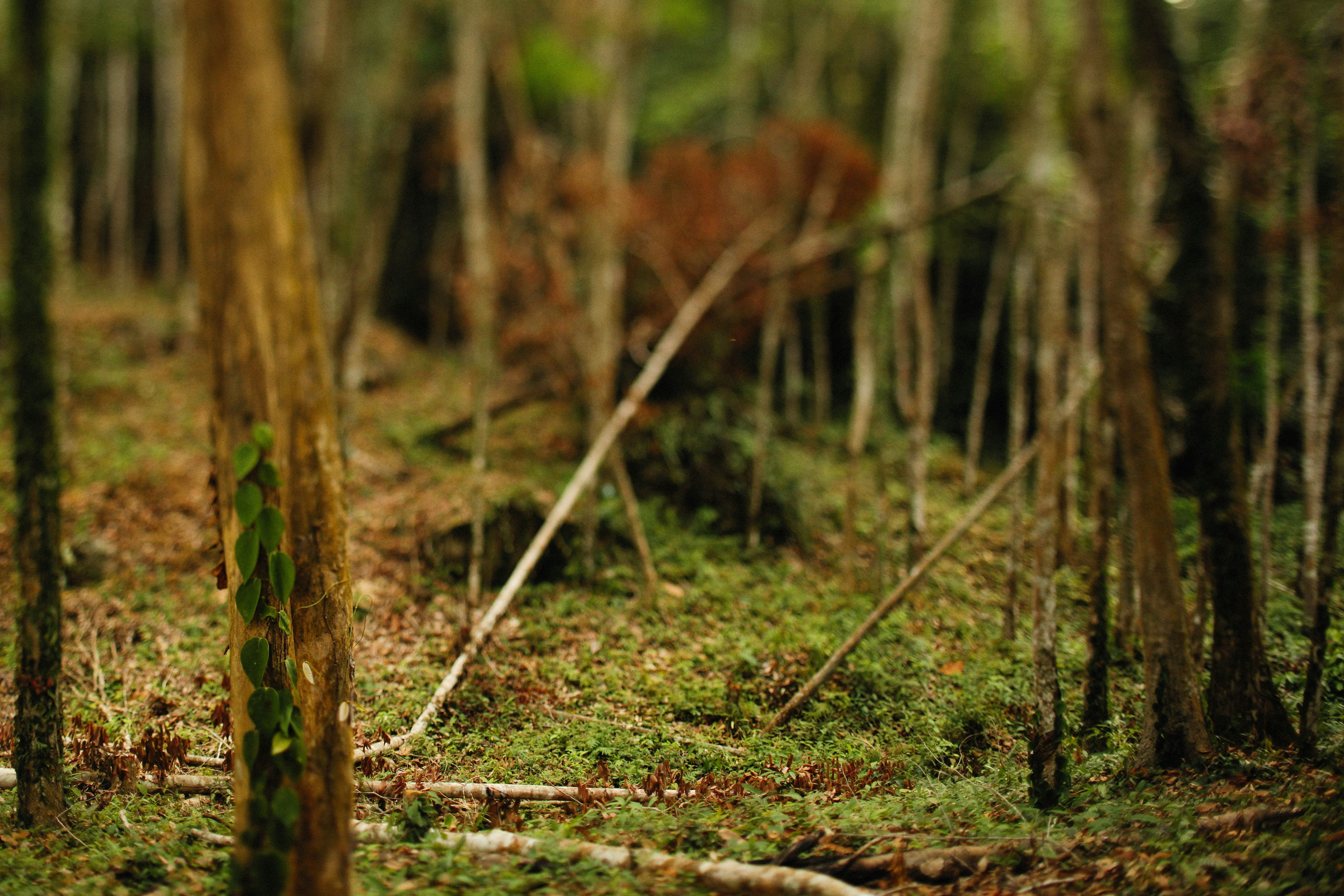 Photo by alexeydemidov