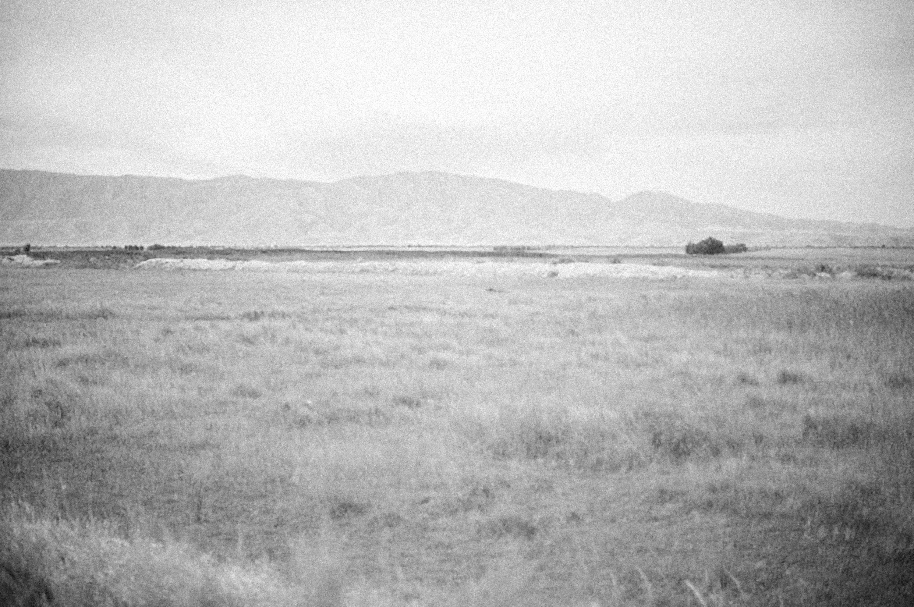 Photo by alexeydemidov