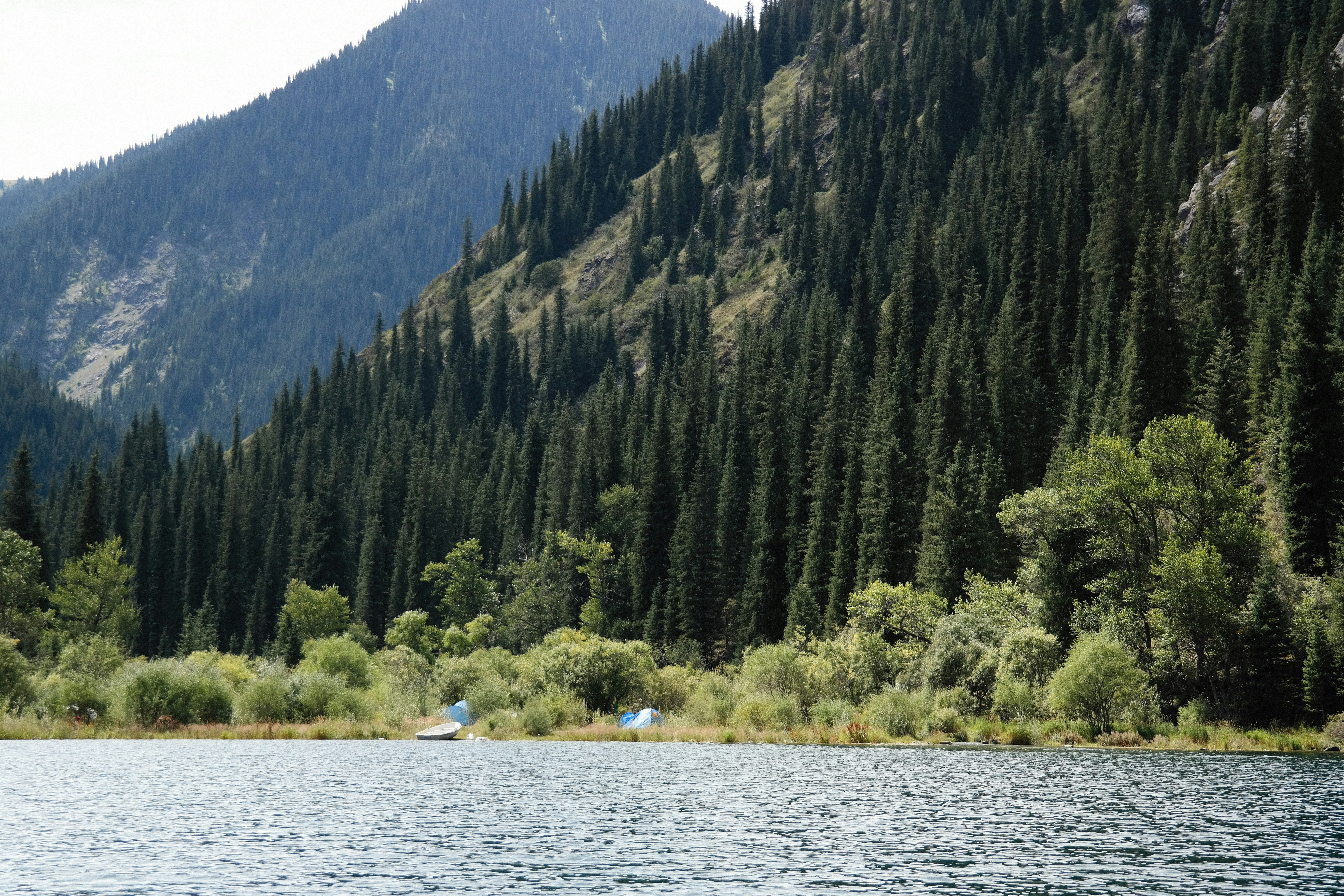 Photo by alexeydemidov