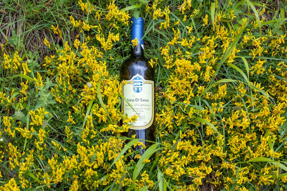a bottle of wine in a field of yellow flowers