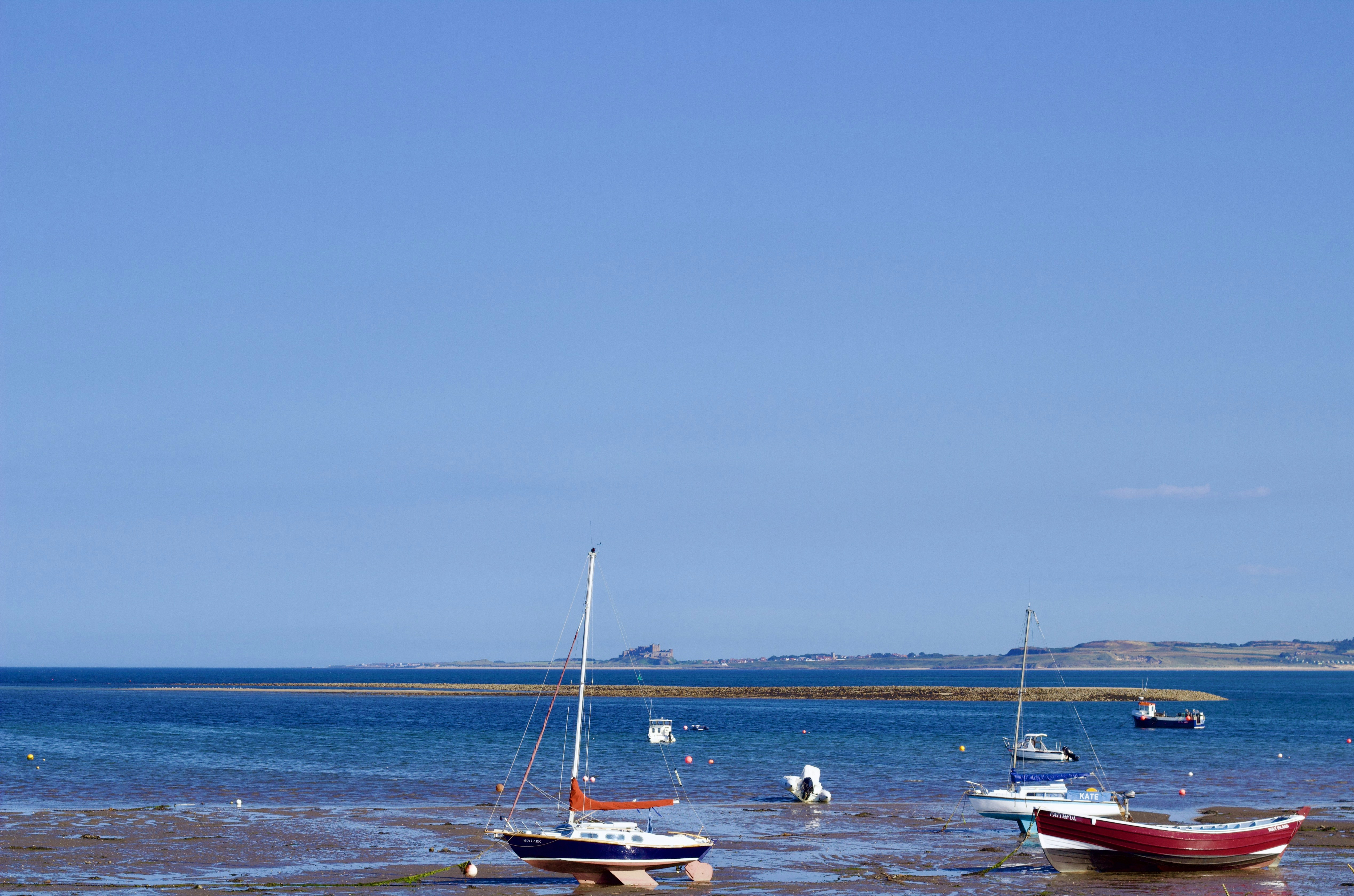 Photo by eleonoramir