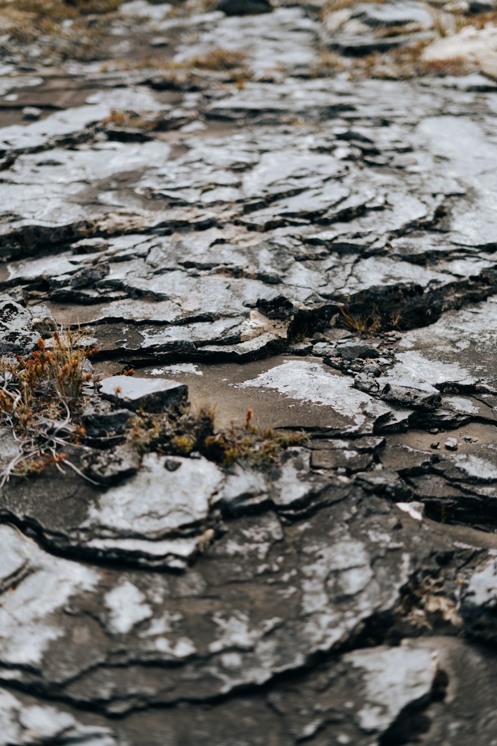 a close-up of a rocky surface