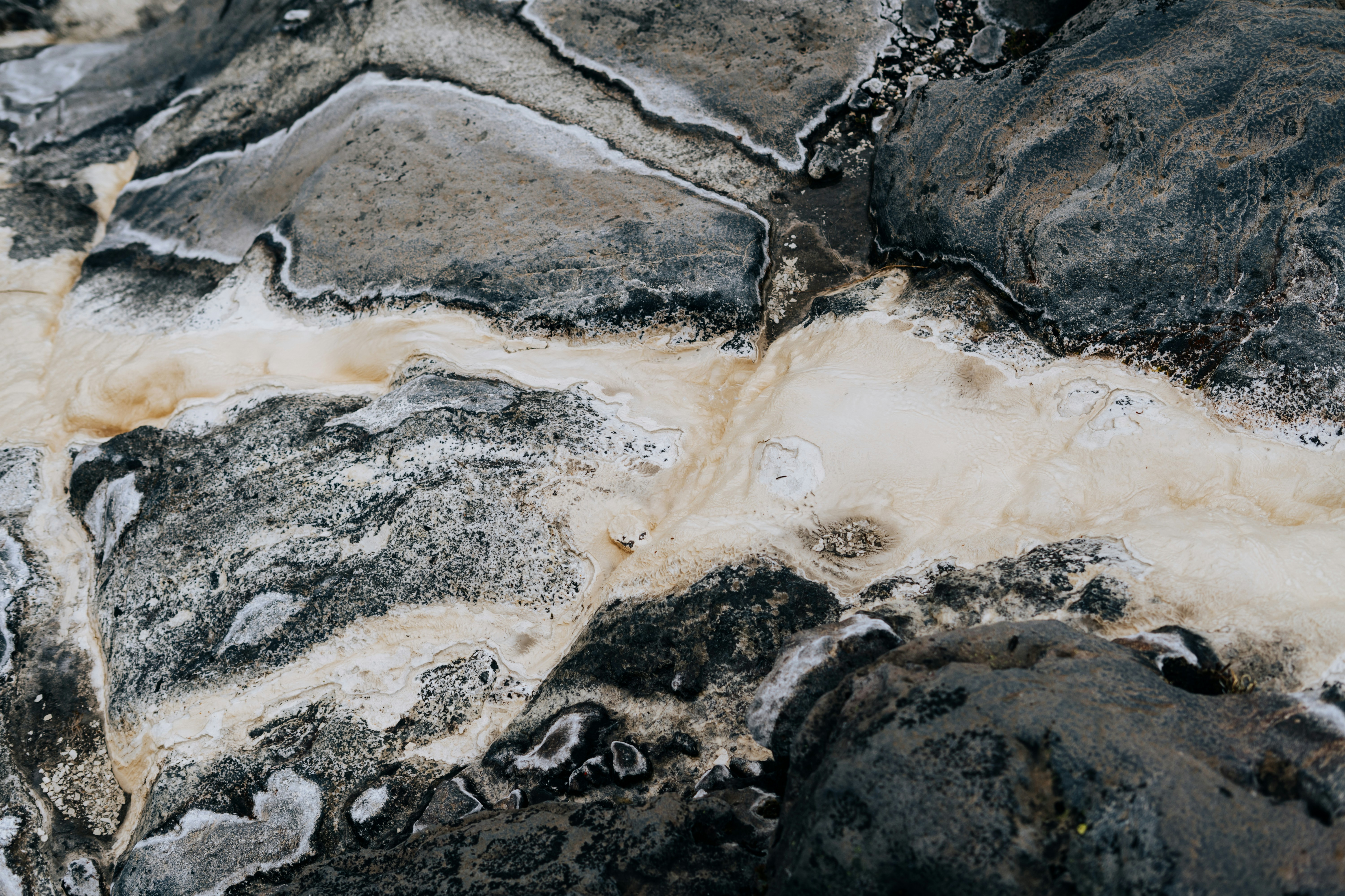 Photo by jasonjsgardner