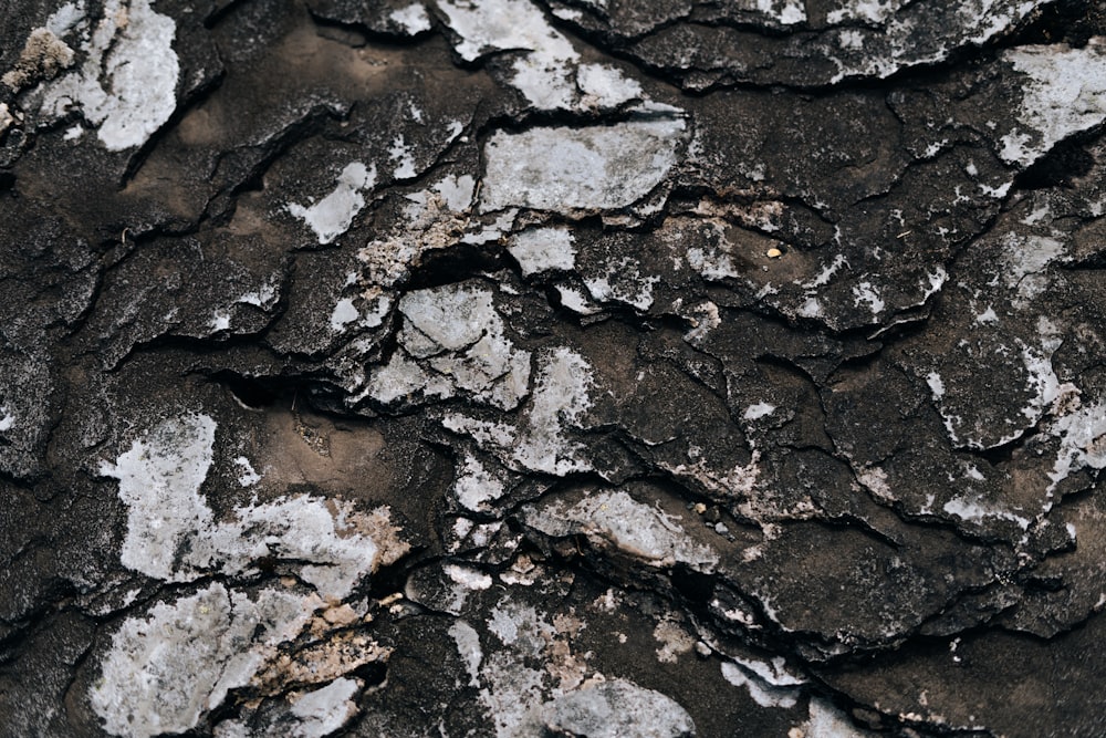 a close-up of some rocks