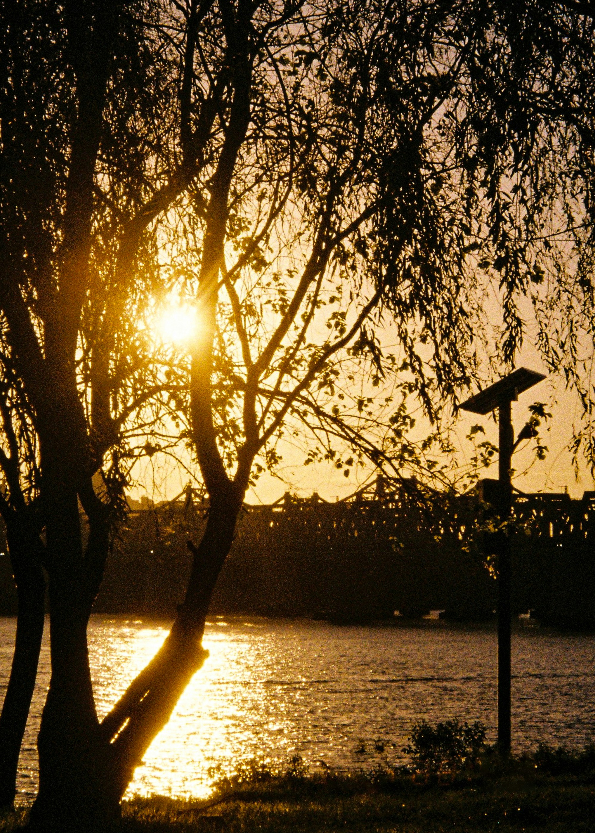 Photo by bbiddac