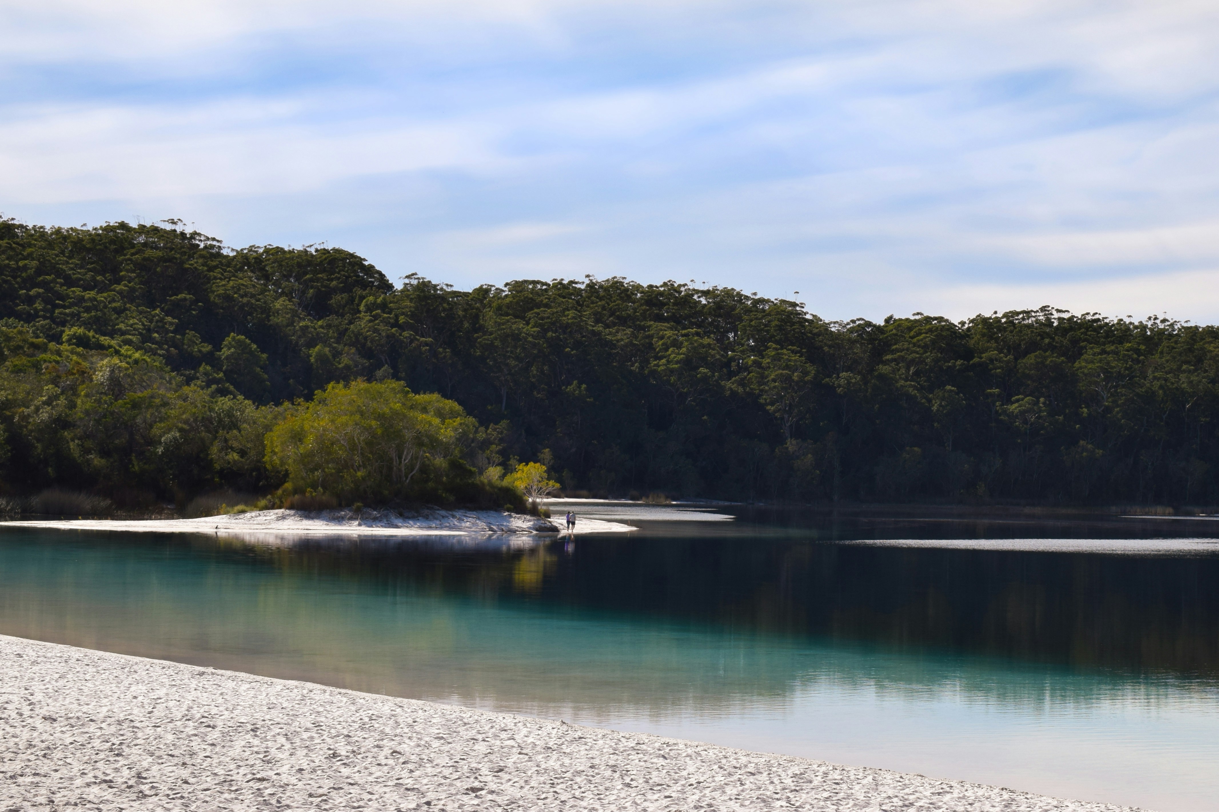 A tea-toned freshwater creek winding through K'gari toward the beach