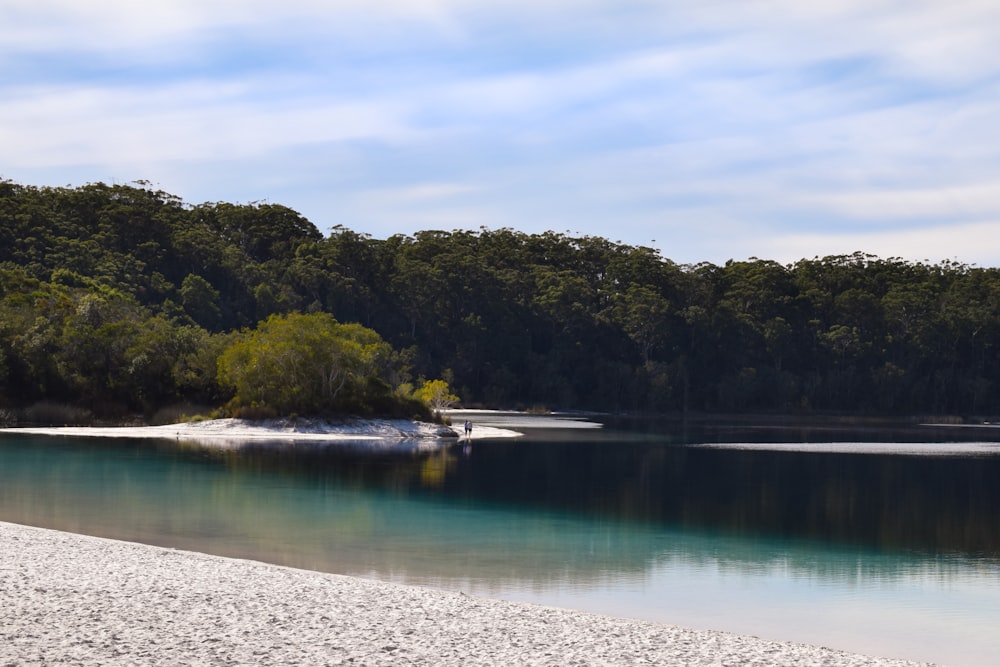 a body of water with trees in the back