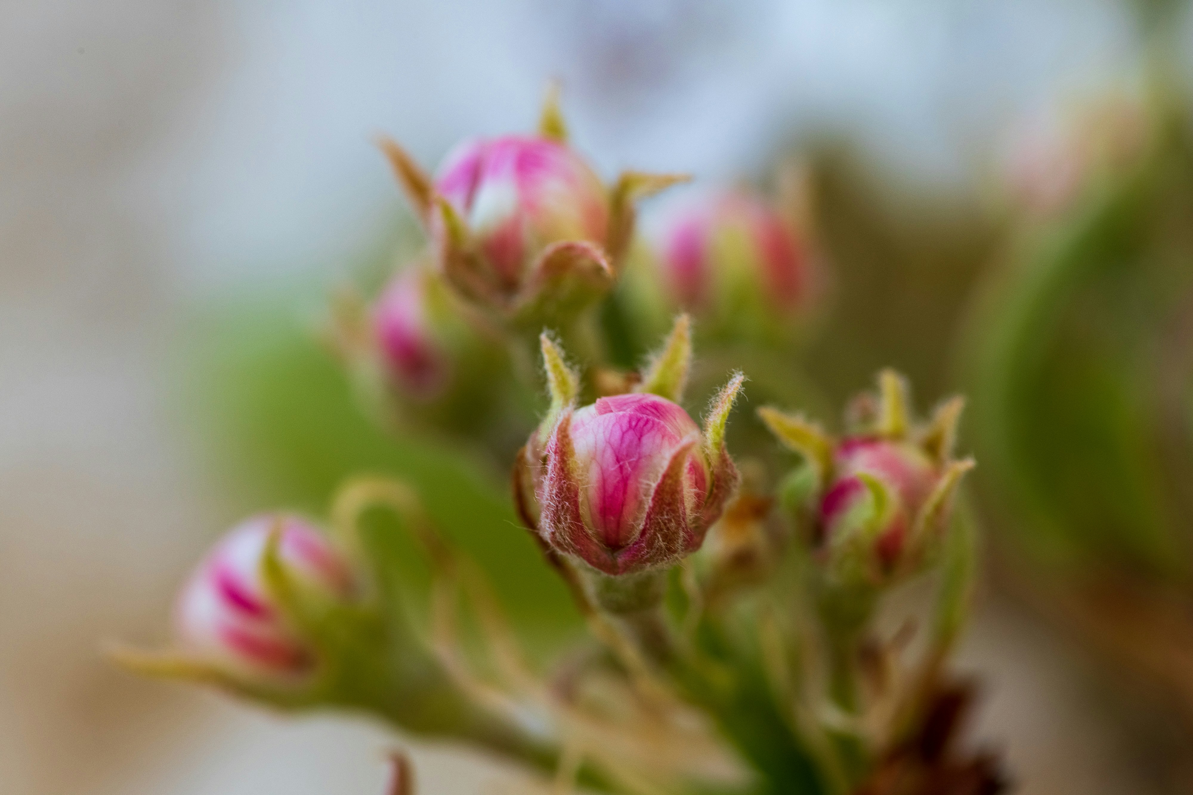 Photo by olehner2000