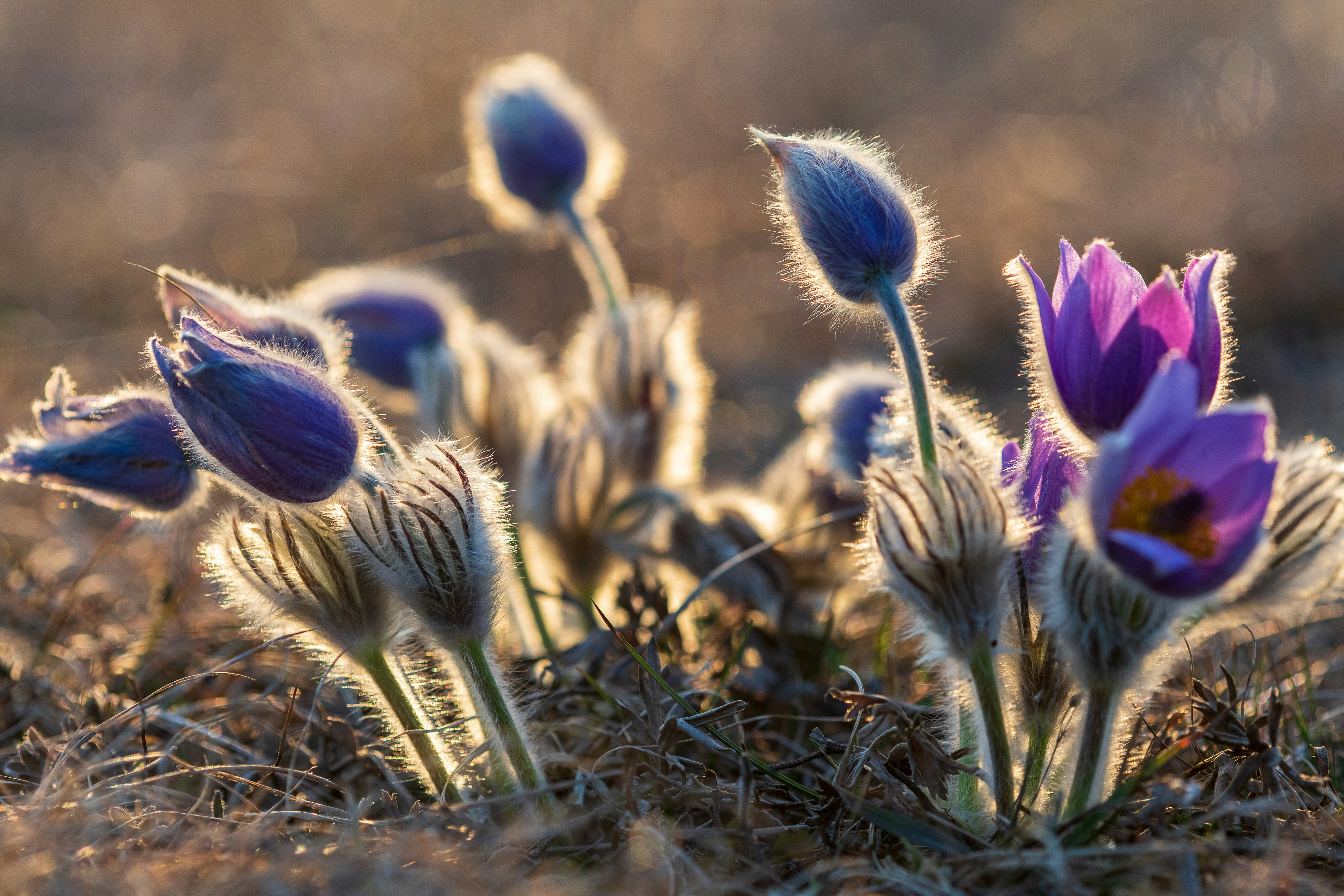 Photo by olehner2000