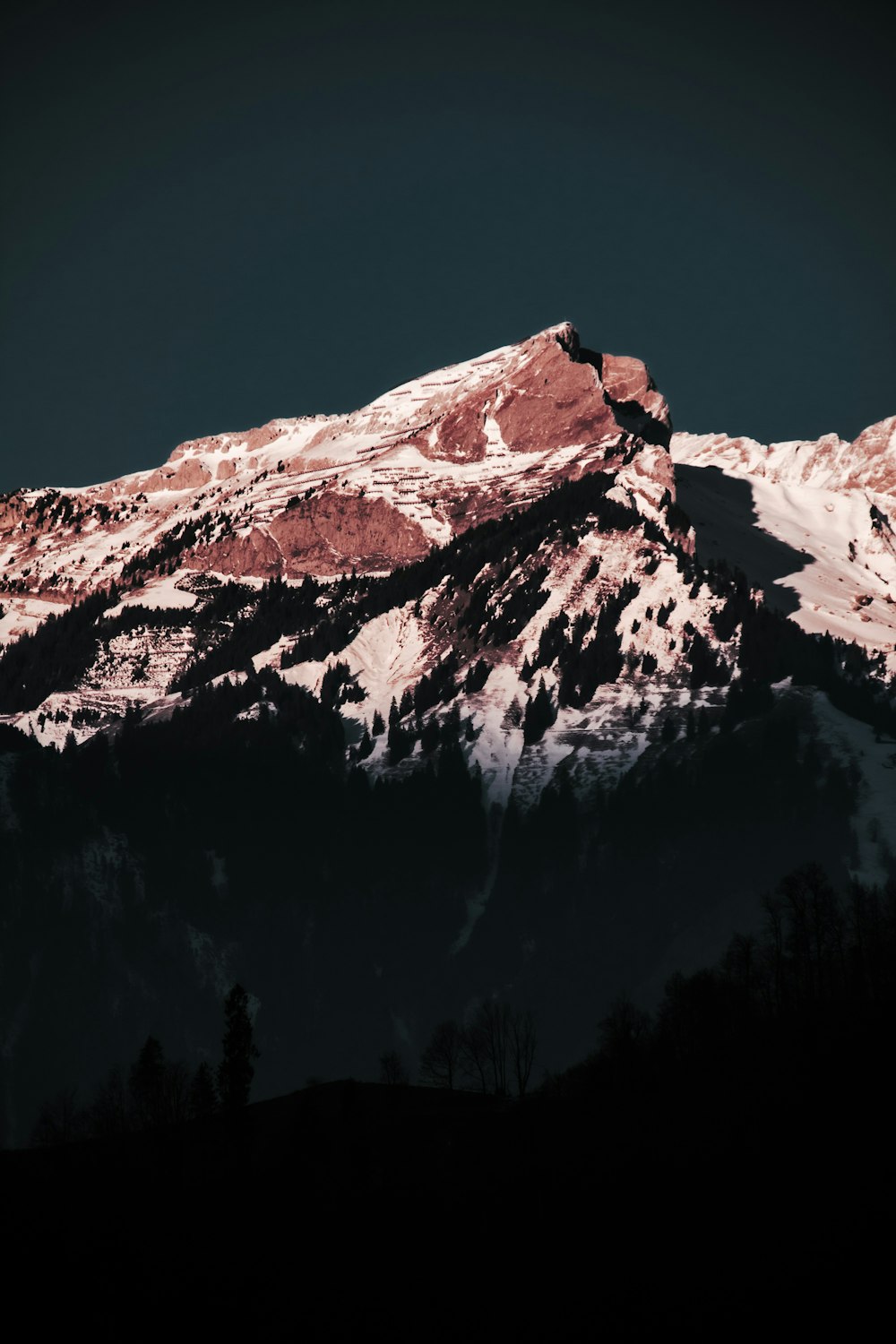 a snowy mountain with trees