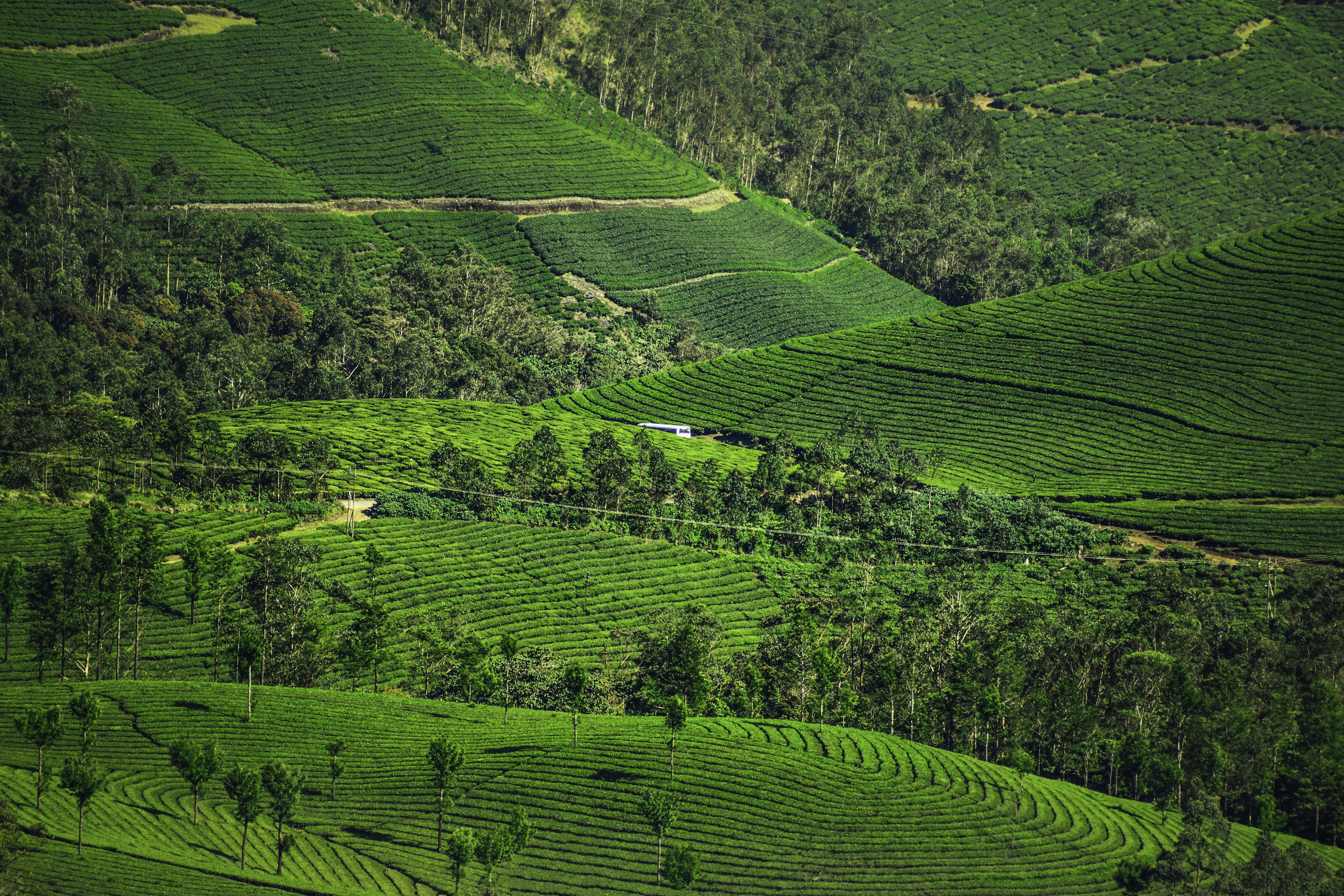 Photo by navi_photography