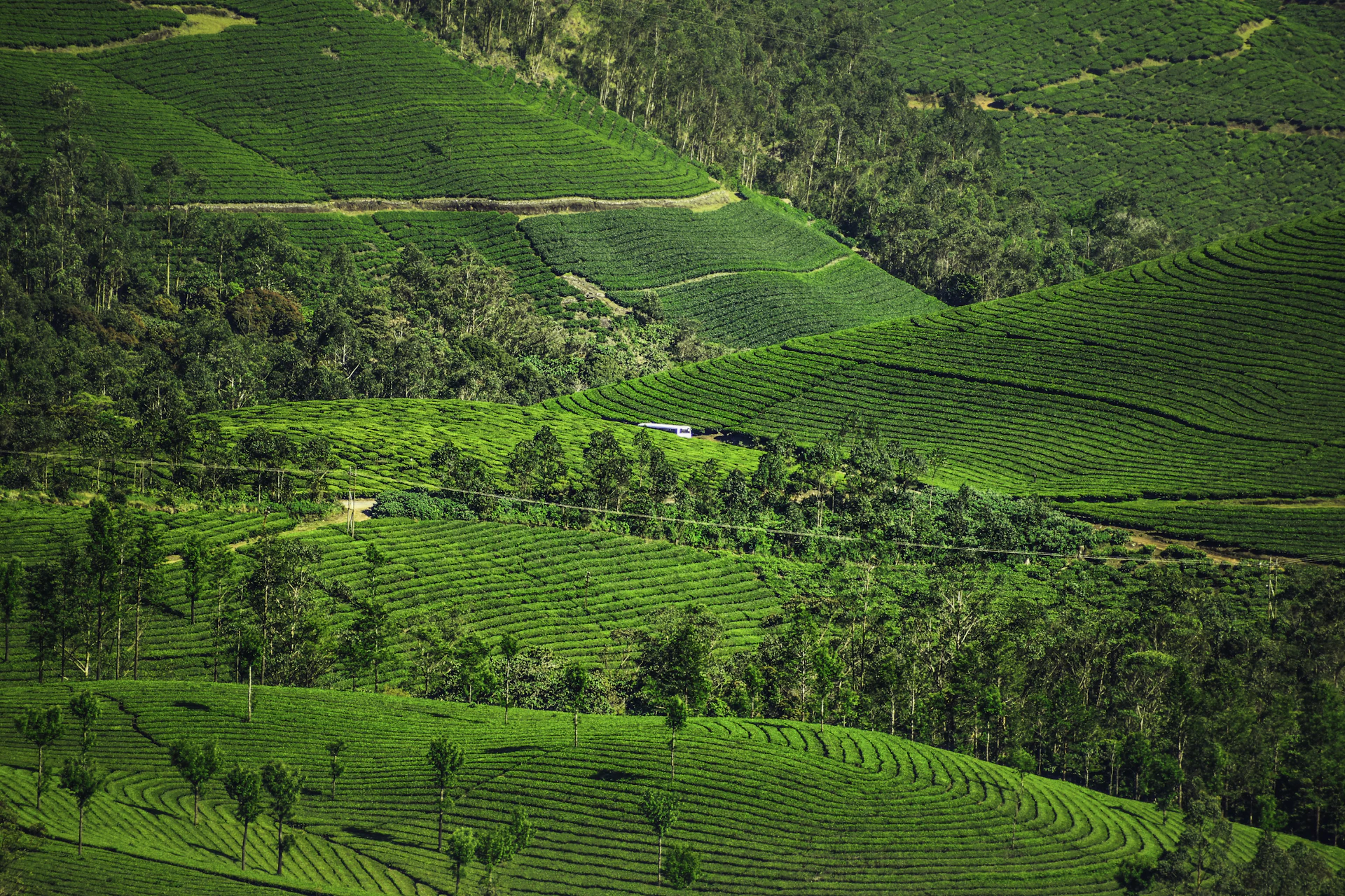Kodaikanal lake and hills