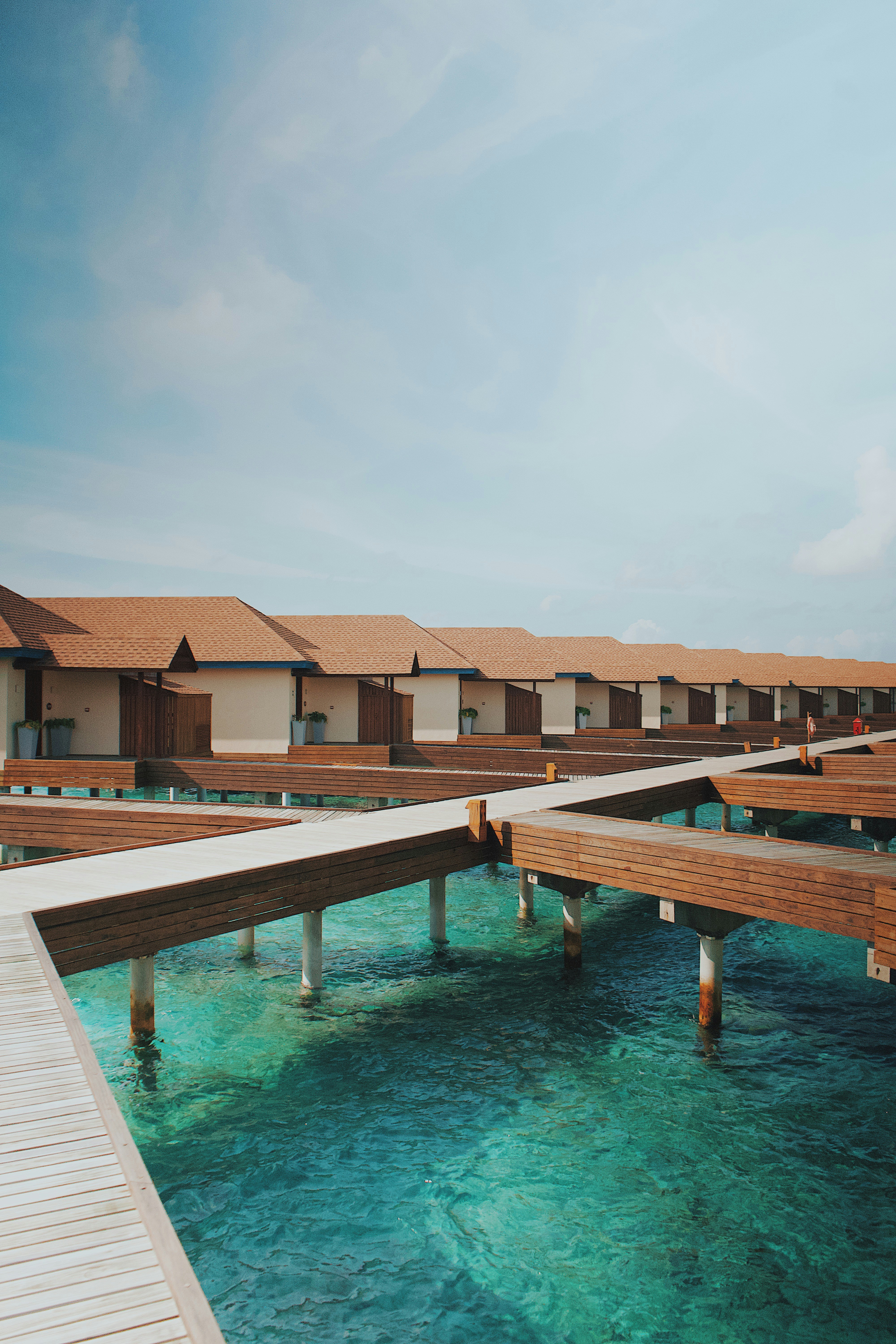 Photo by jonathanneversleeps